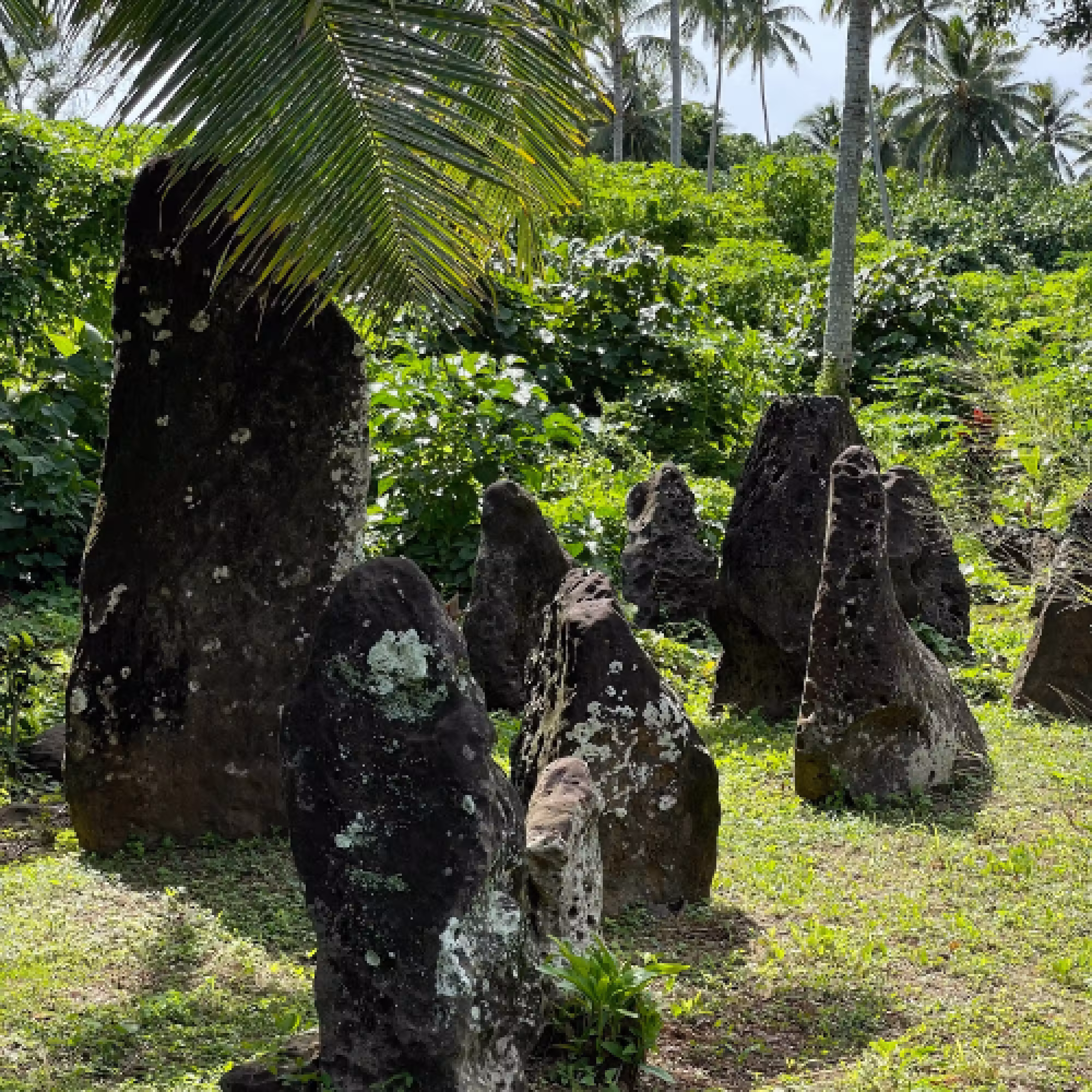 Aitutaki Cultural Tour