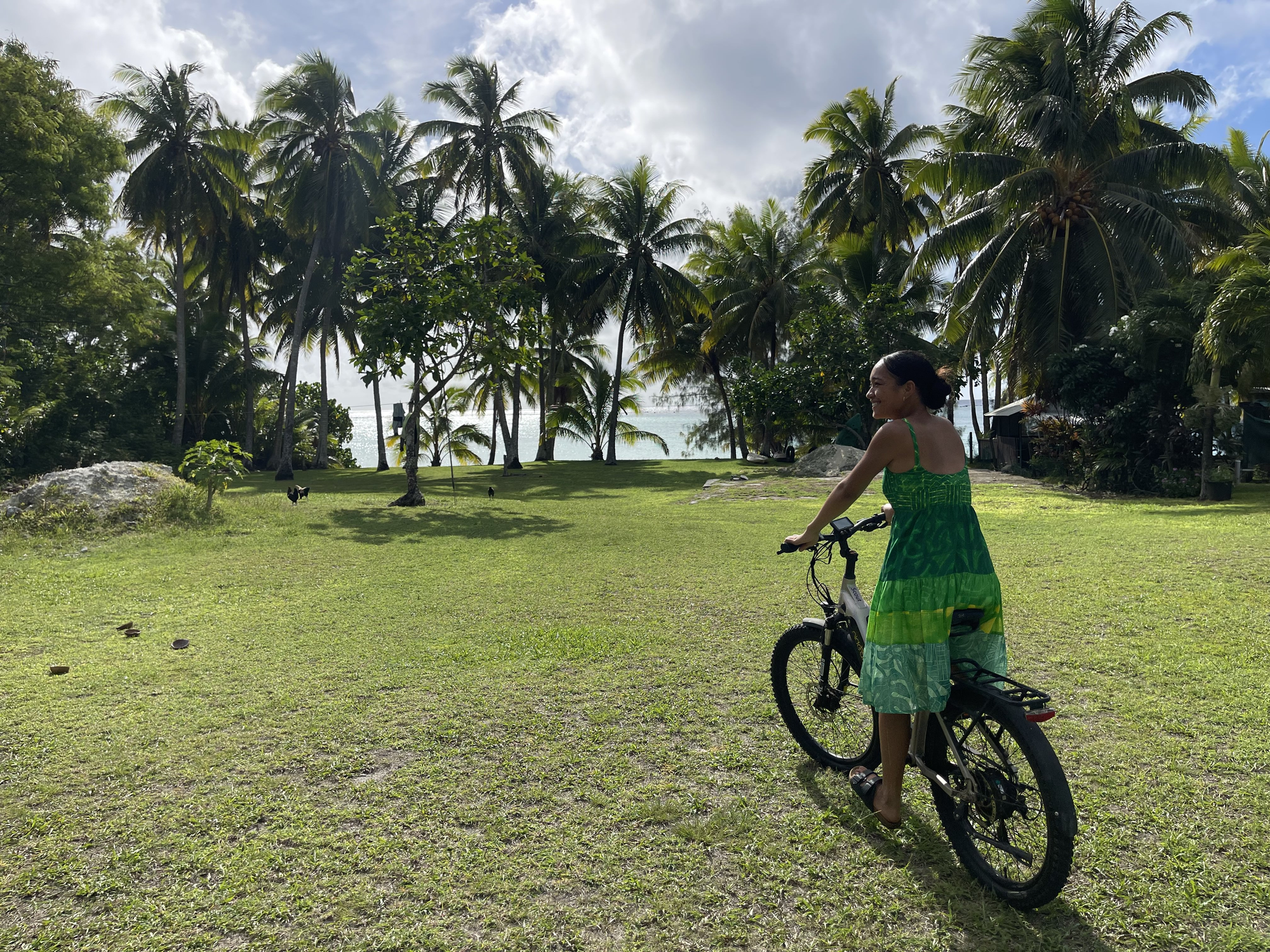 E-Bike for Hire