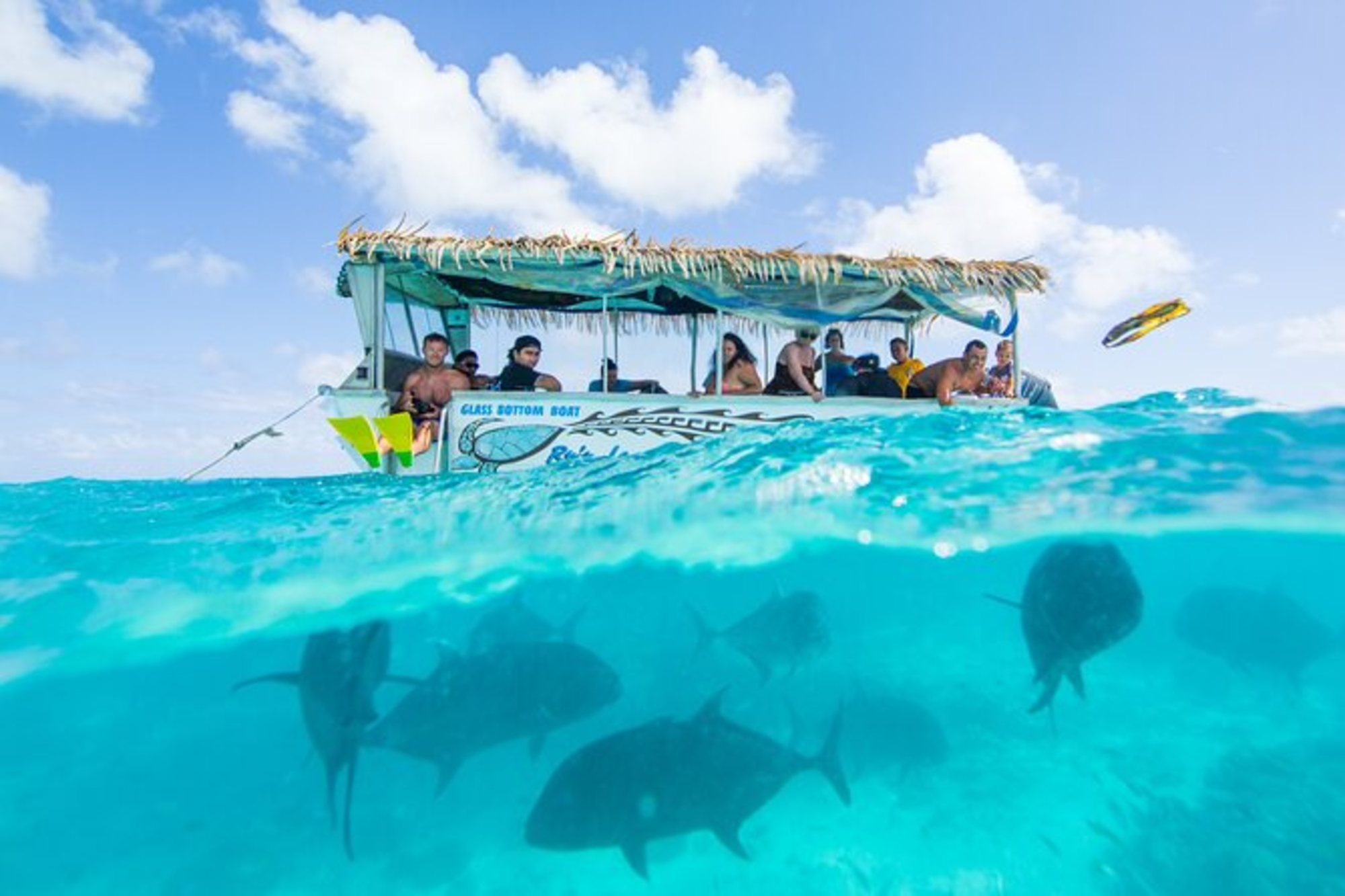 Glass bottom boat - Ru's Lagoon Cruise