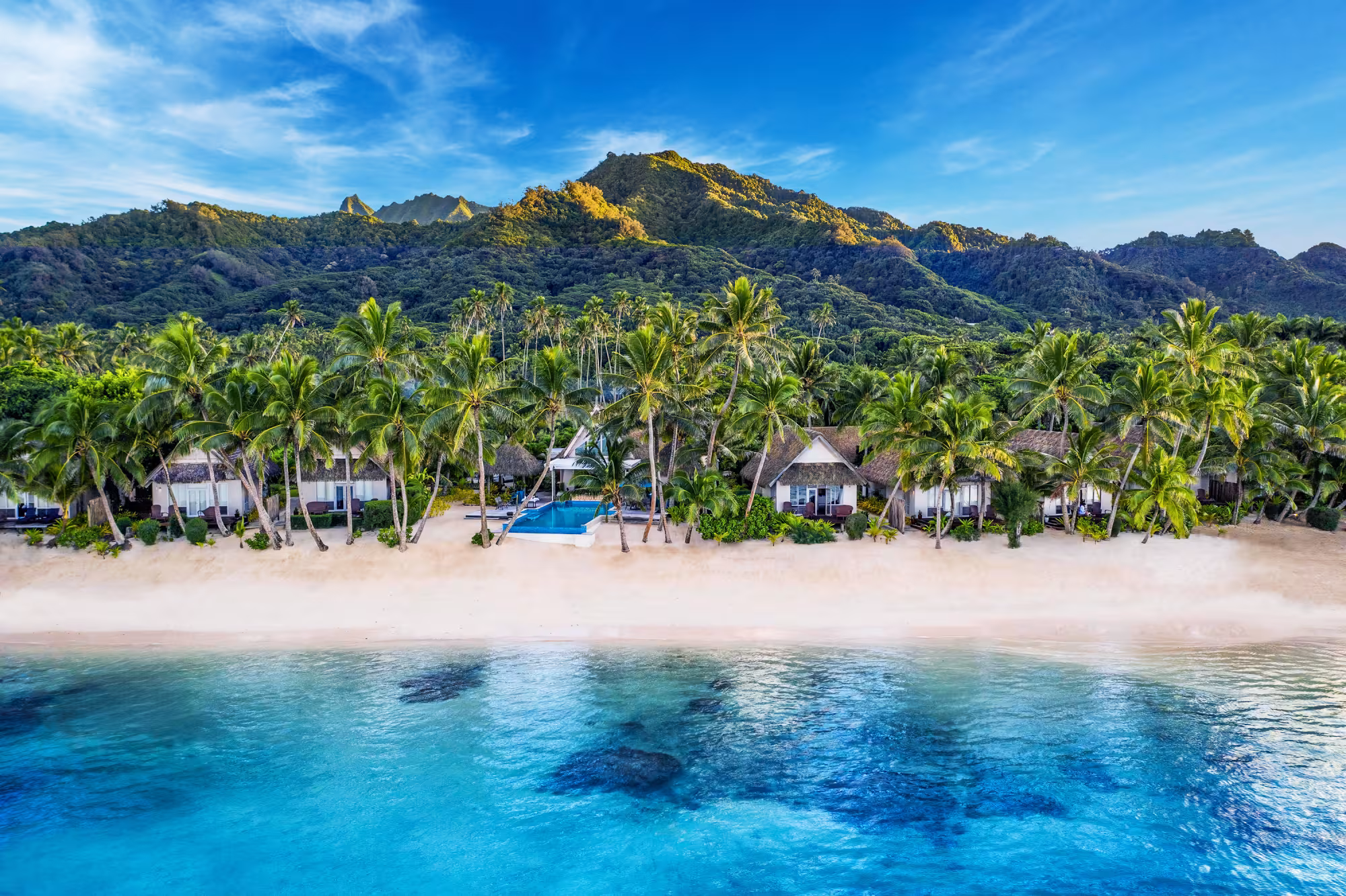 Little Polynesian 