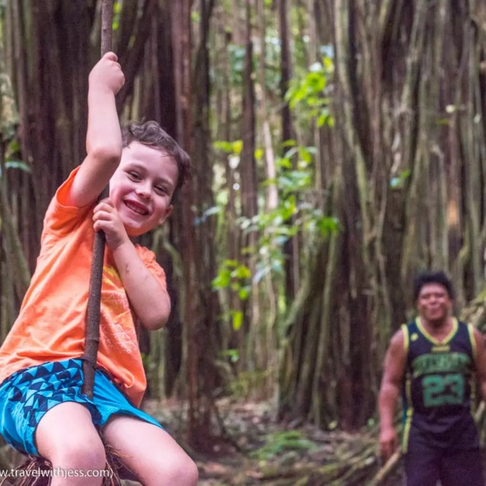 swinging from smaller Banyan Tree Roots