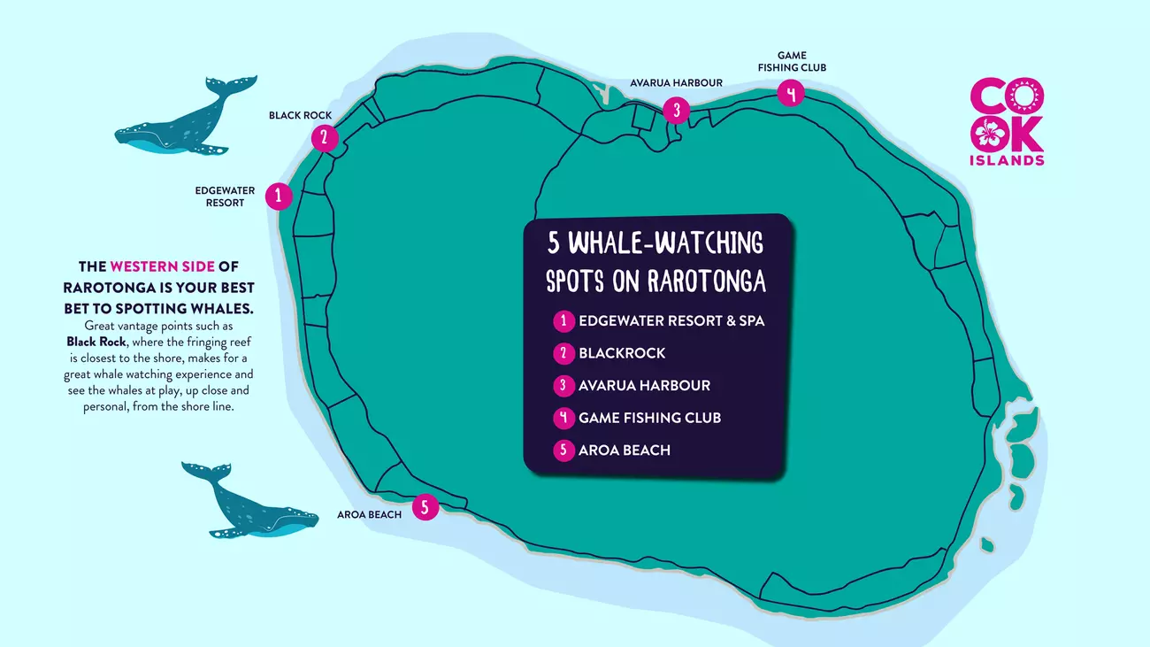 Whale Watching Map