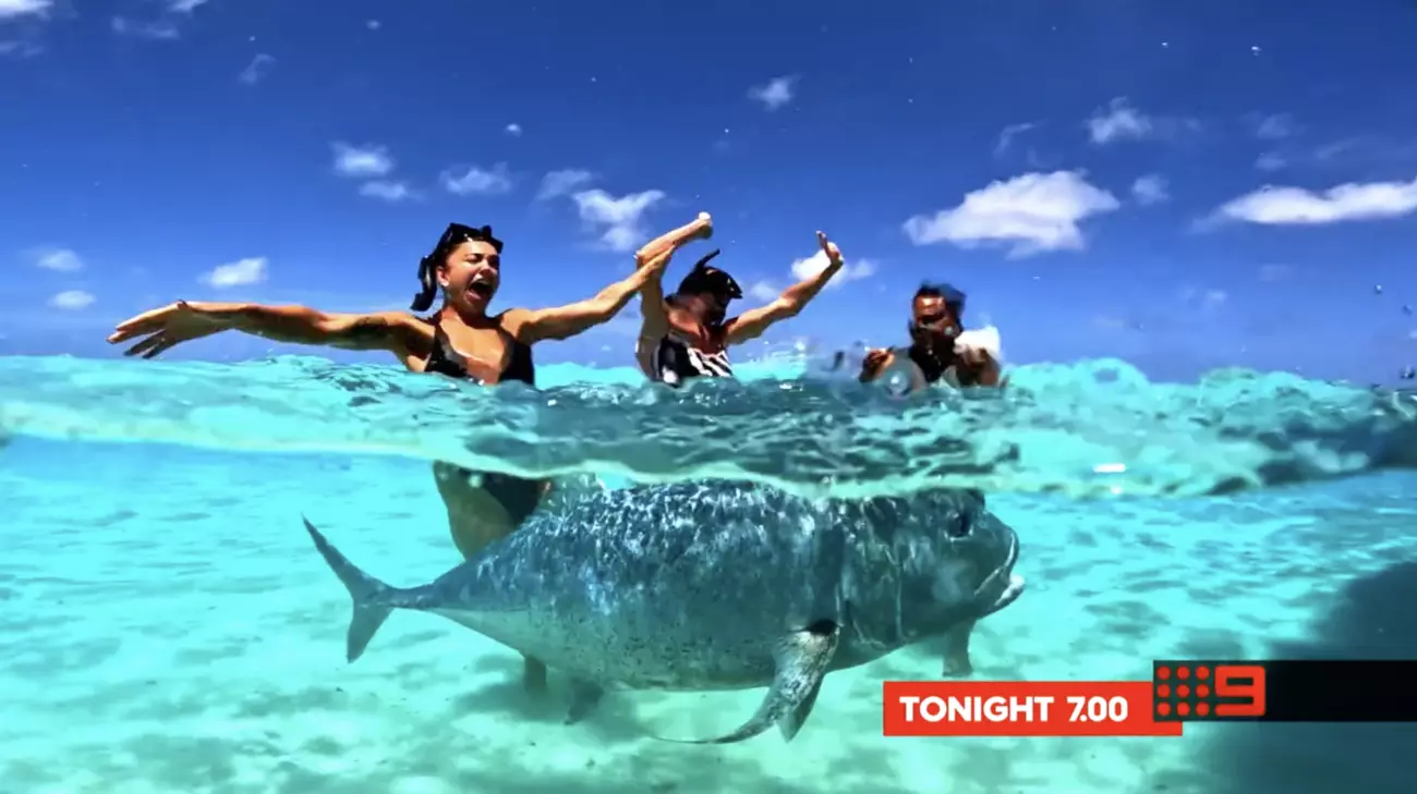 Another scene from Cook Islands