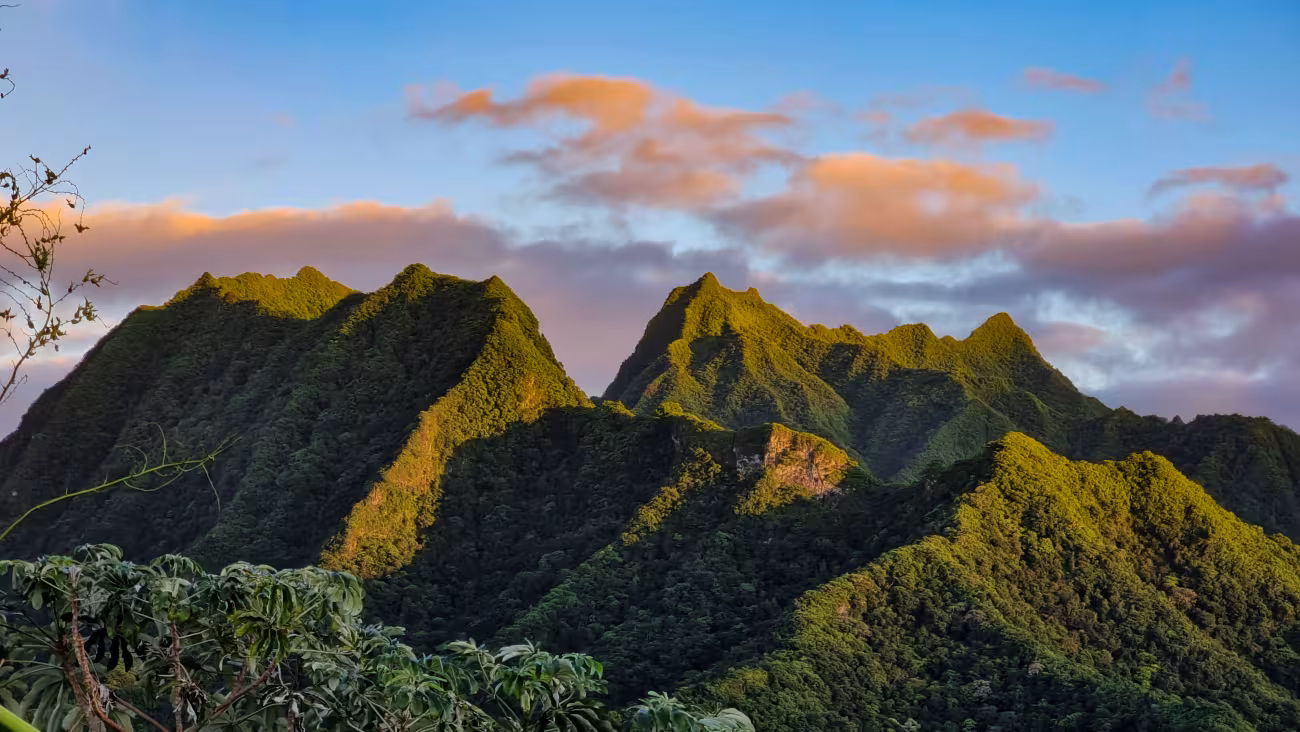 maunga