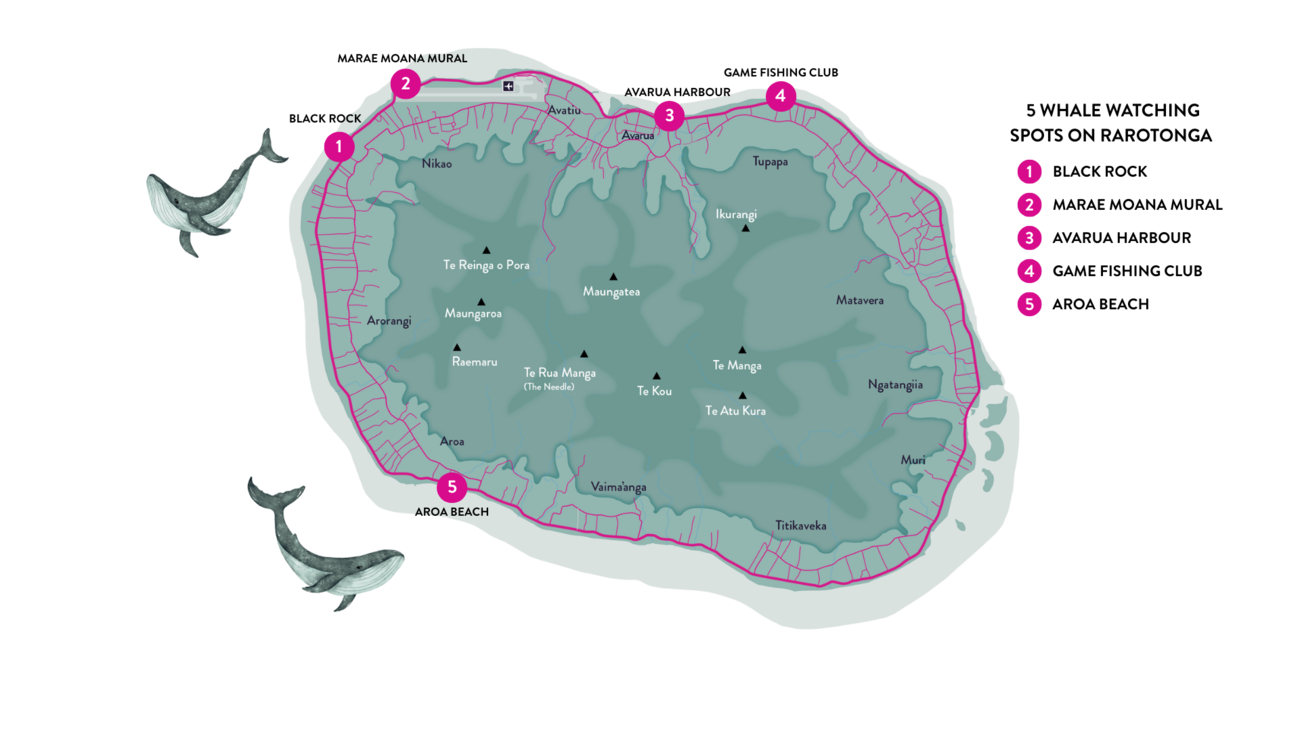 Whale Watching Map