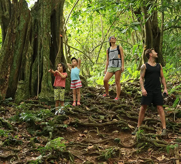 Mountain Trekking Rarotonga