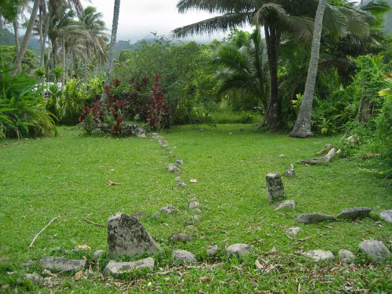 AraiTeTonga.jpg