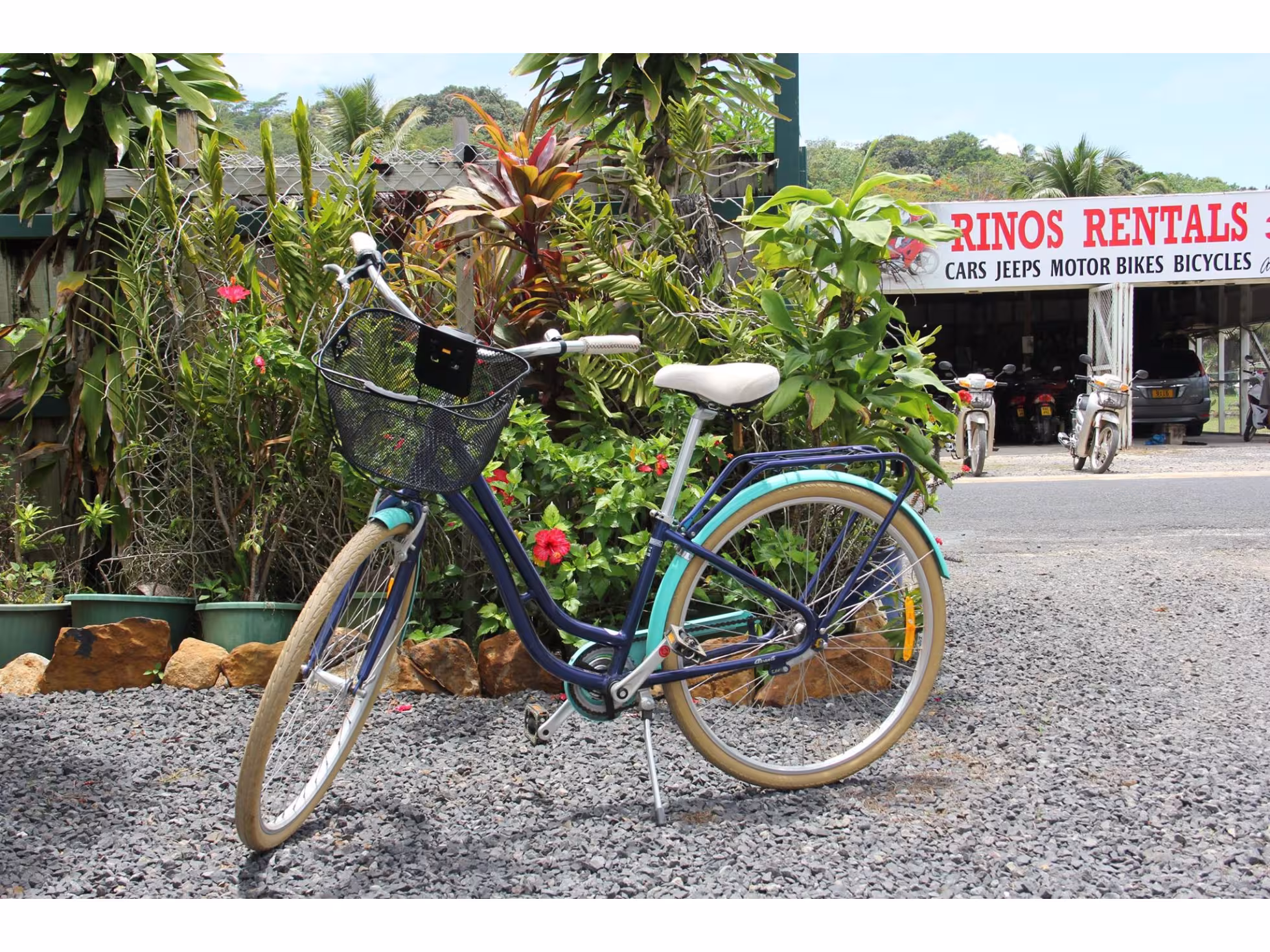 Rinos Rentals Bike