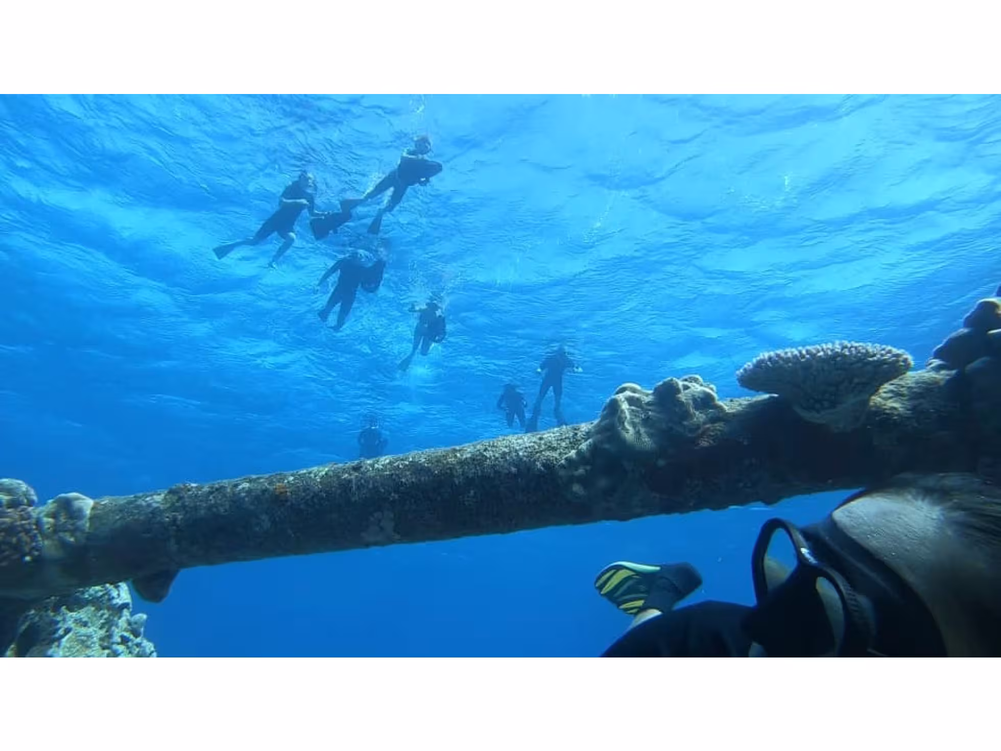Ariki Adventures Shipwreck Sea Scooter Tour Group