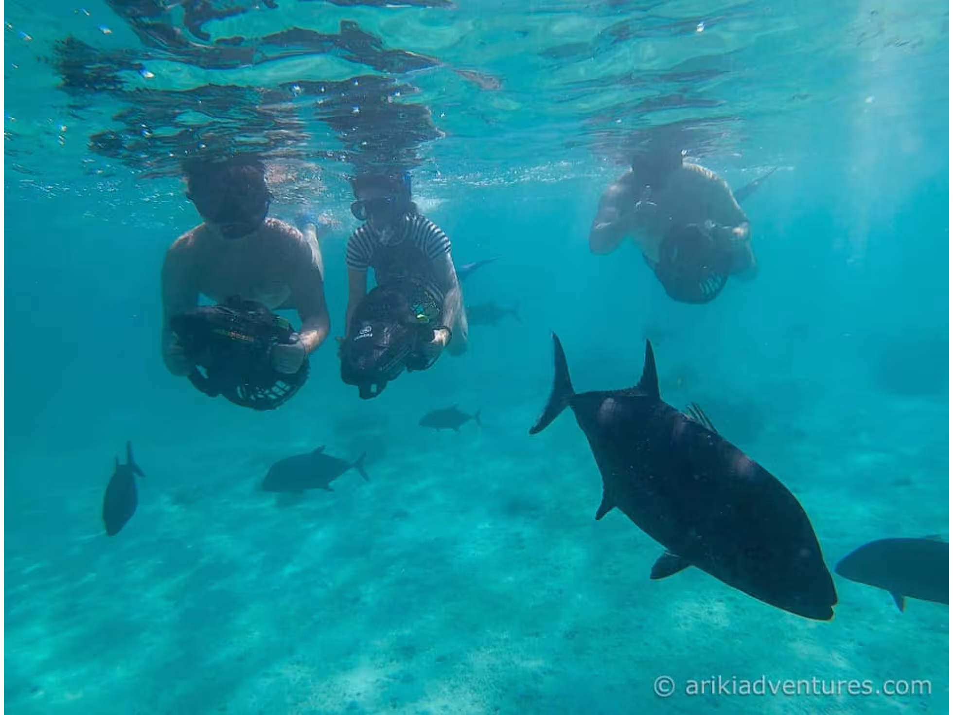 Lagoon Discovery Sea Scooter Safari with Ariki Adventures in Rarotonga
