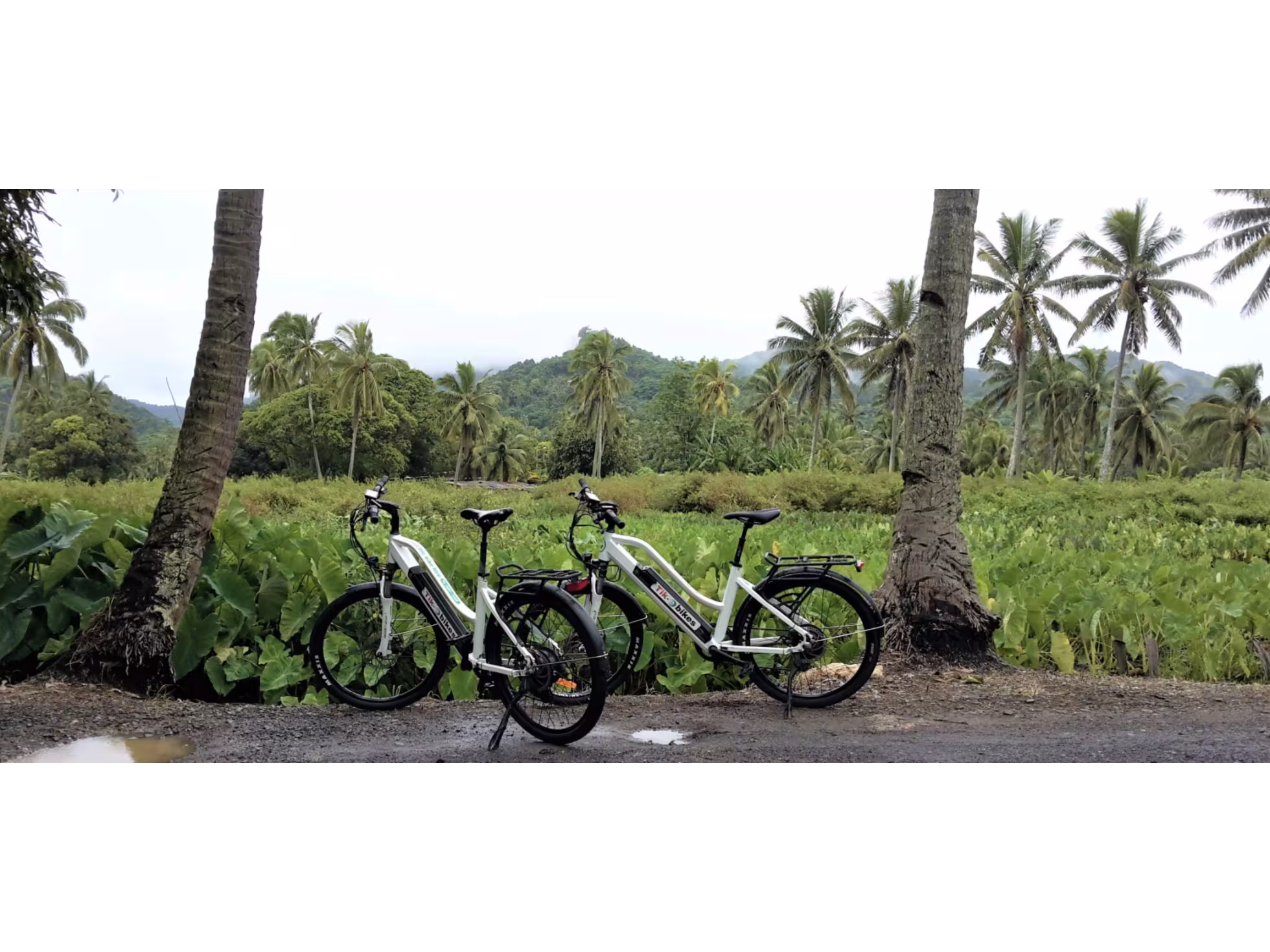 Rent e-Bikes with Tik-e Tours in Rarotonga