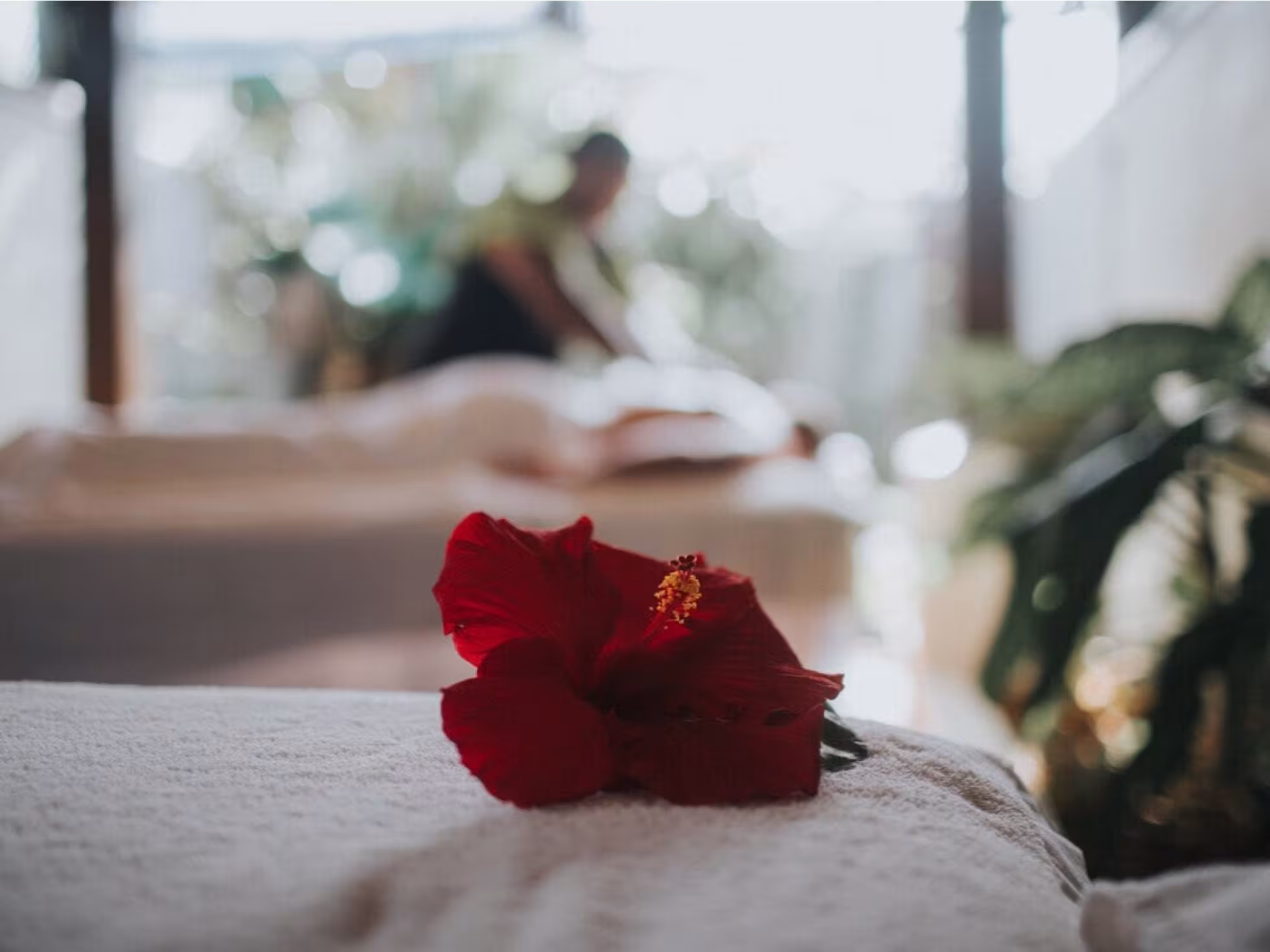 Spa Nautilus Treatment Suite in Rarotonga