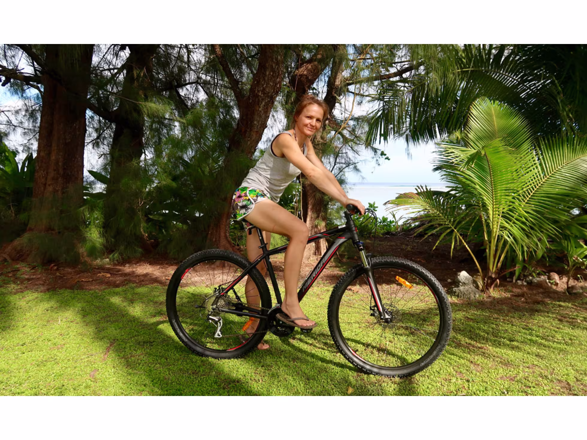 bicycle 