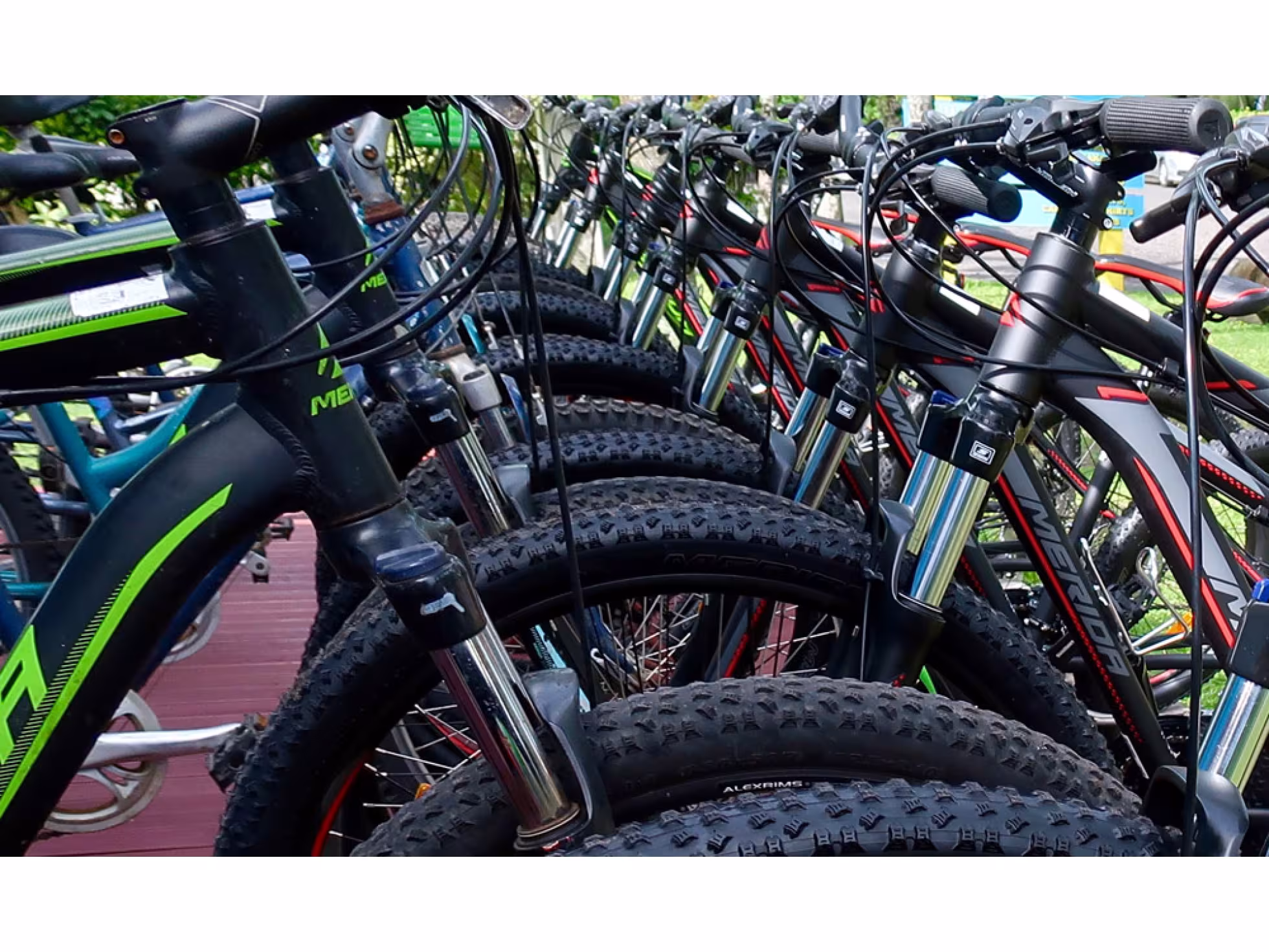 bicycle 2
