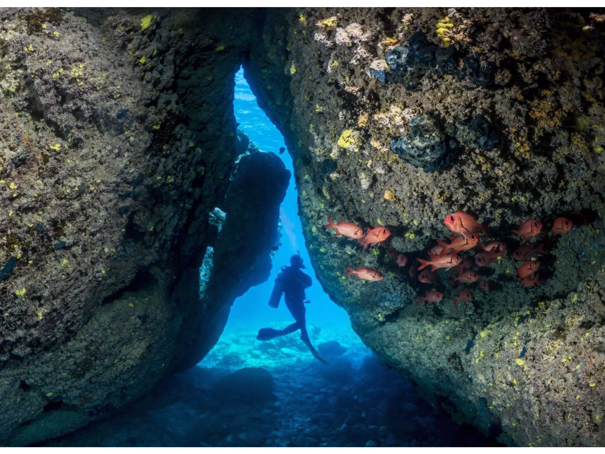 Dive Rarotonga Ltd- Swim Through.JPG