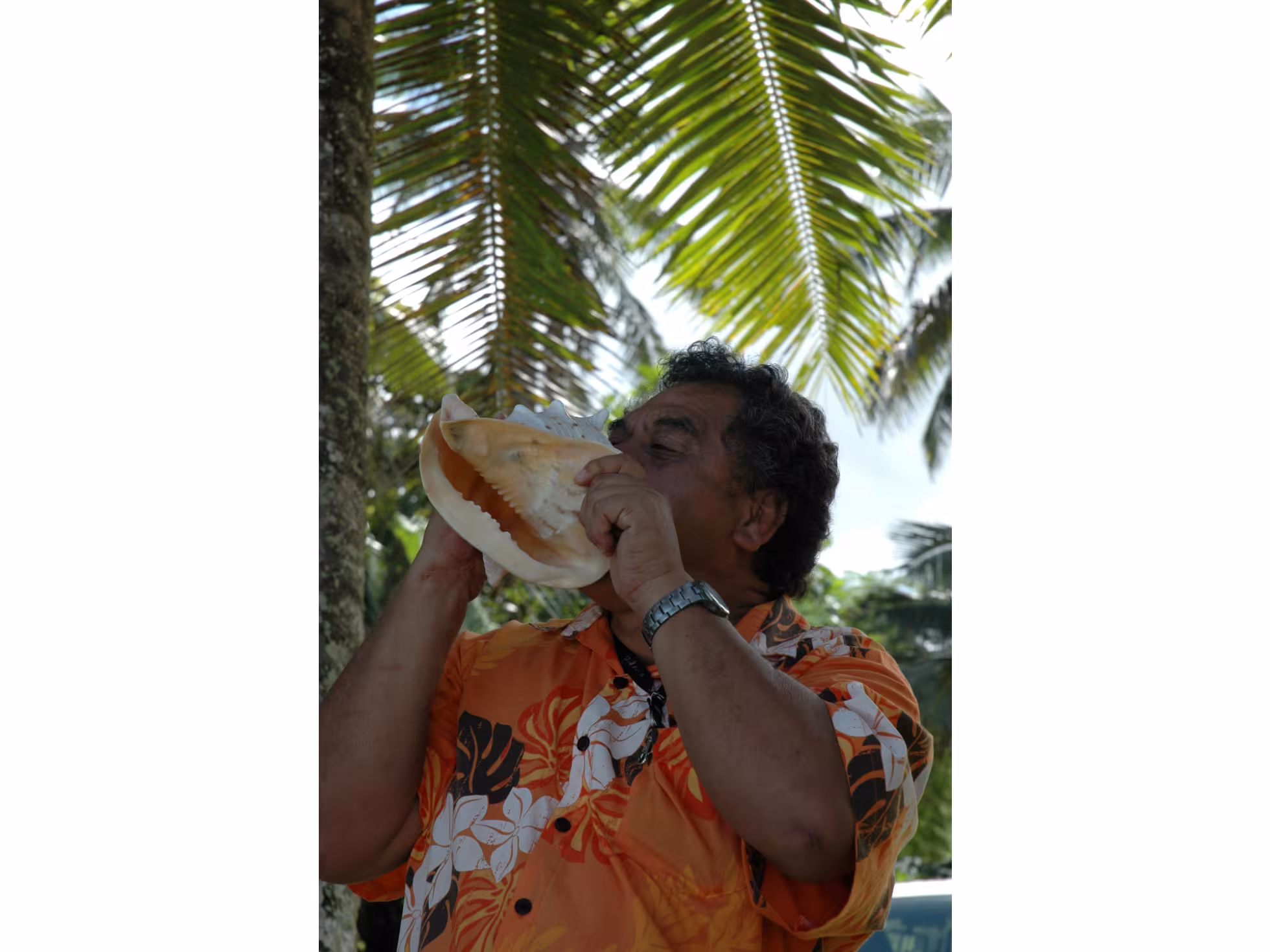 Rarotonga Orientation & Sites Tour