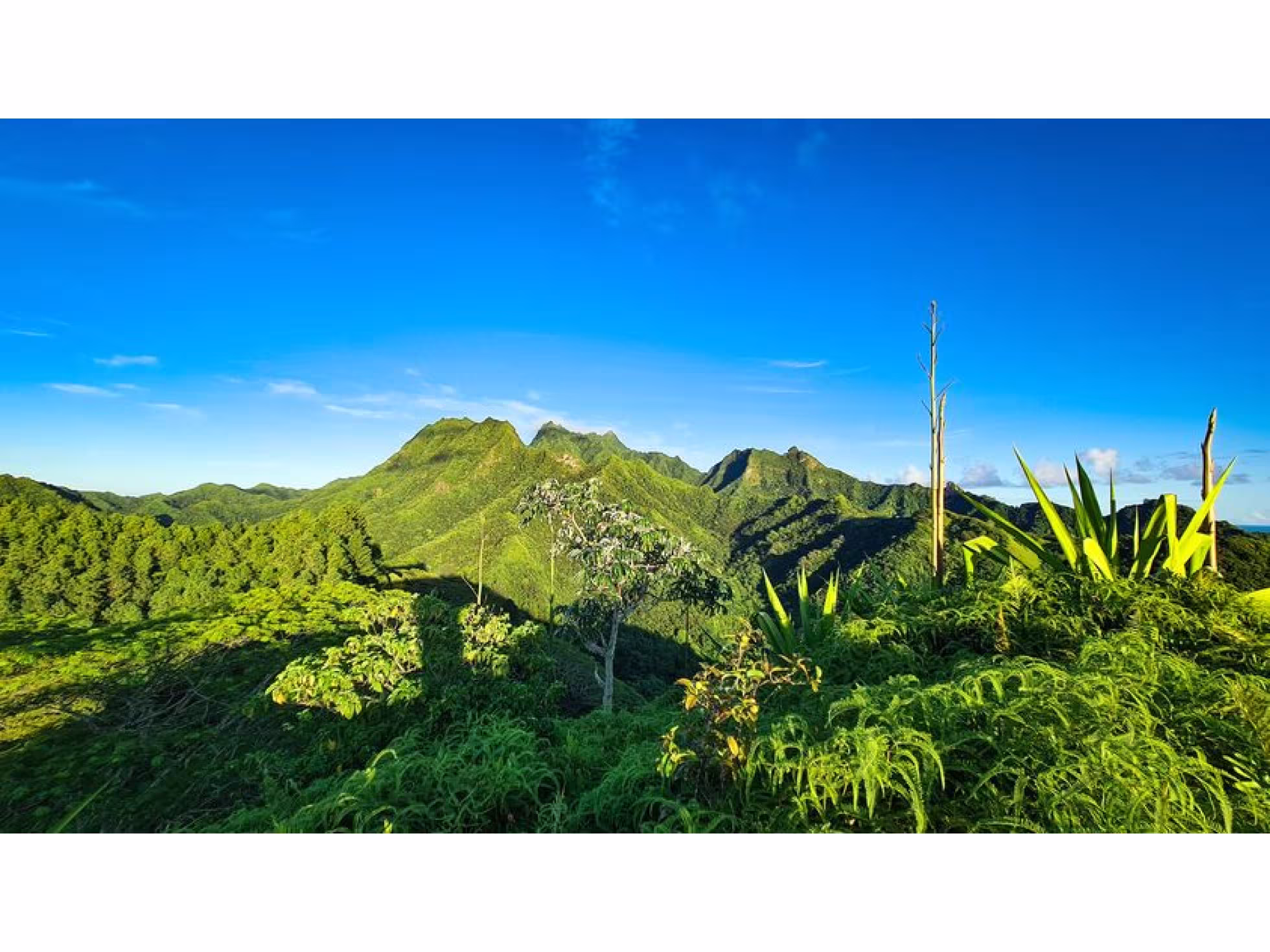 Arore Mountain Trek 2