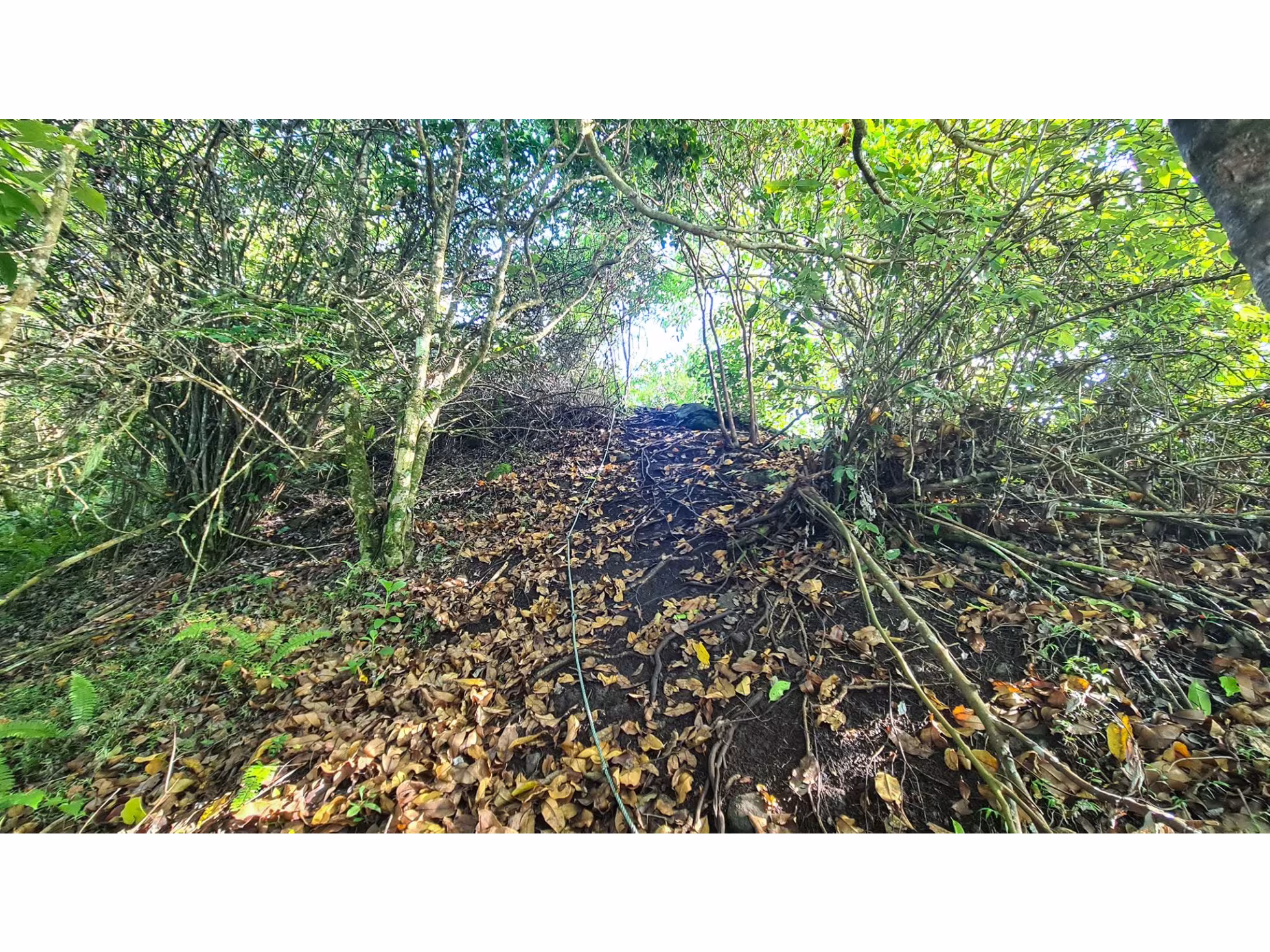 Arore Mountain Trek 3