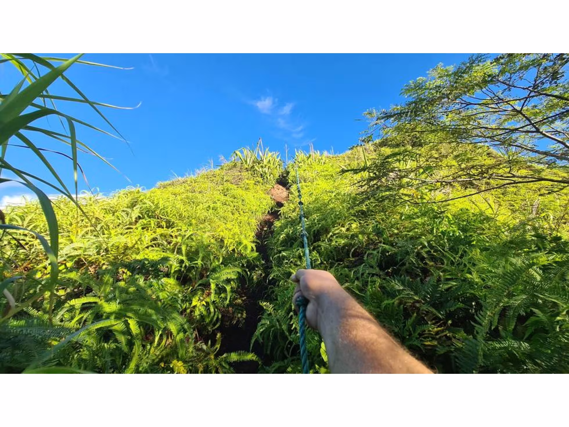 Arore Mountain Trek 5