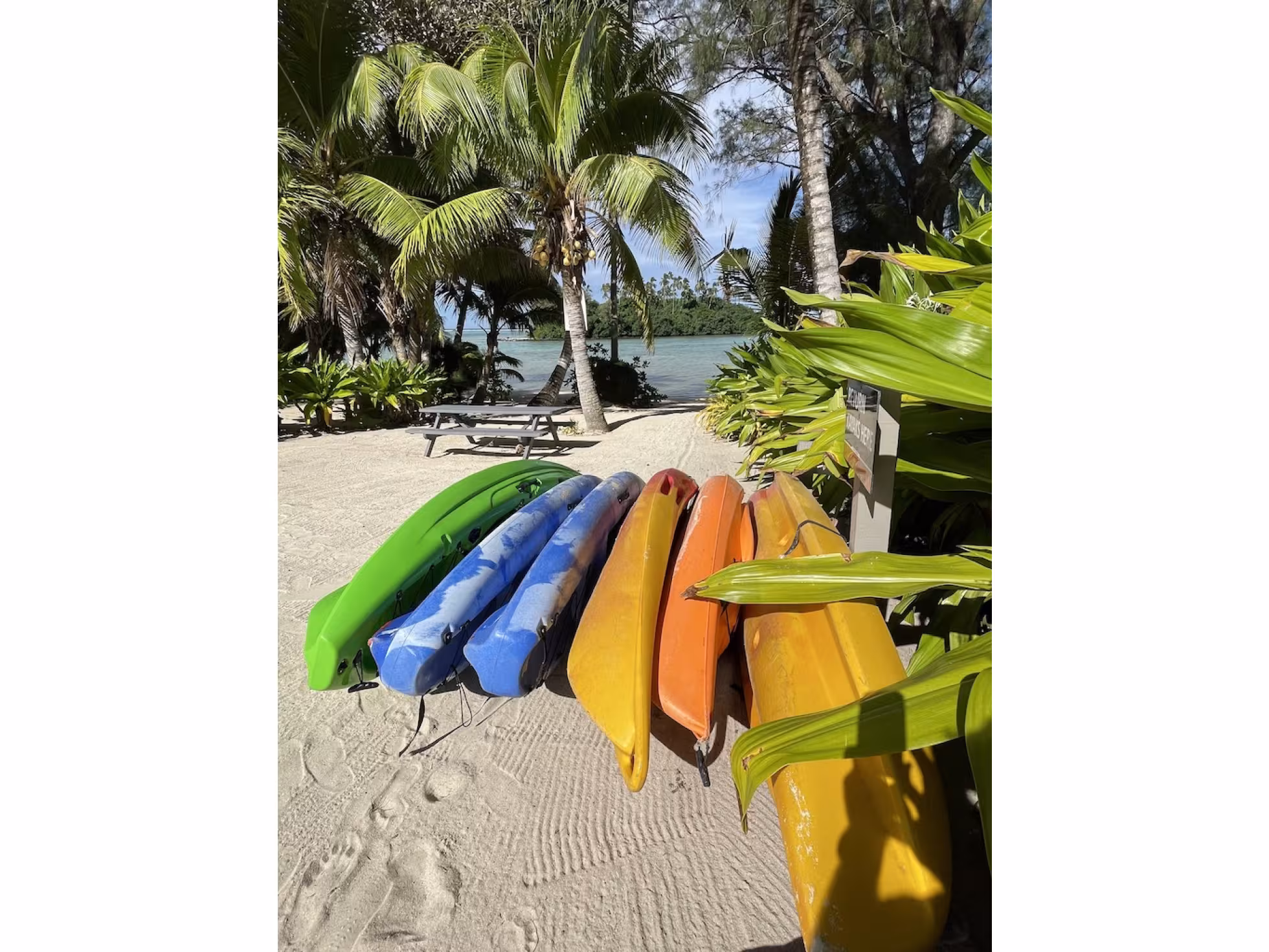 Kayaks 