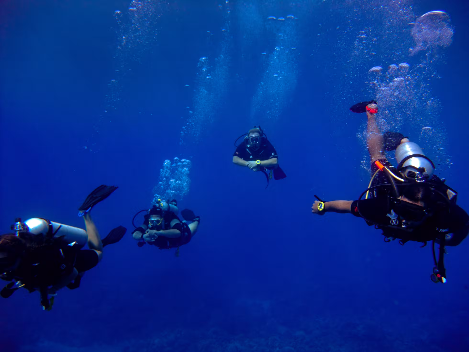 Dive Rarotonga Ltd