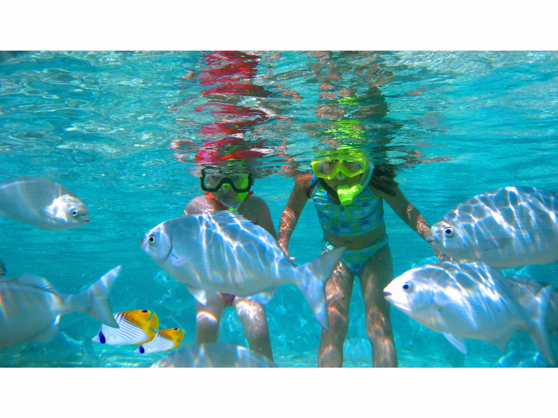 The Rarotongan Beach Resort & Lagoonarium