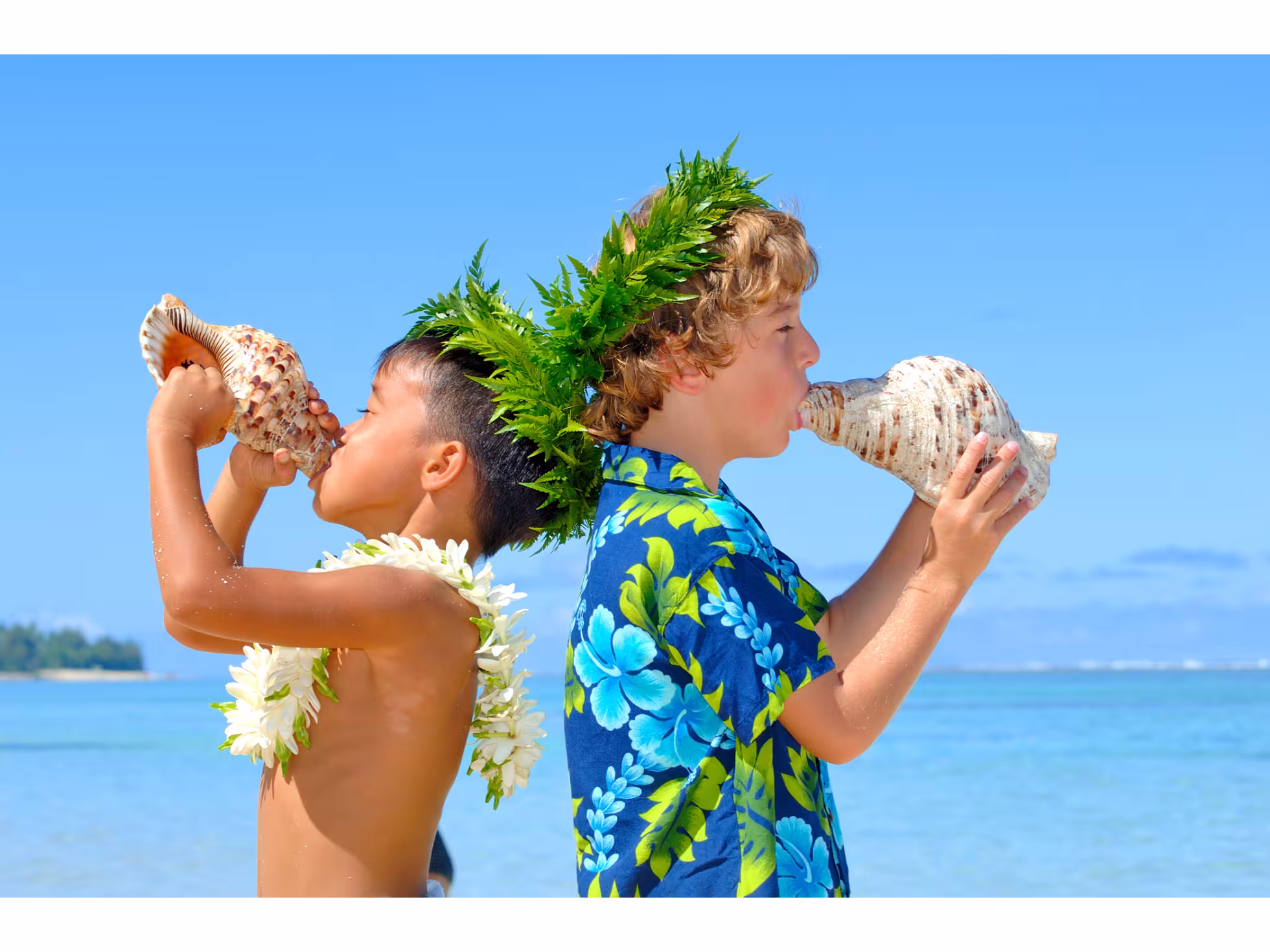 The Rarotongan Beach Resort & Lagoonarium