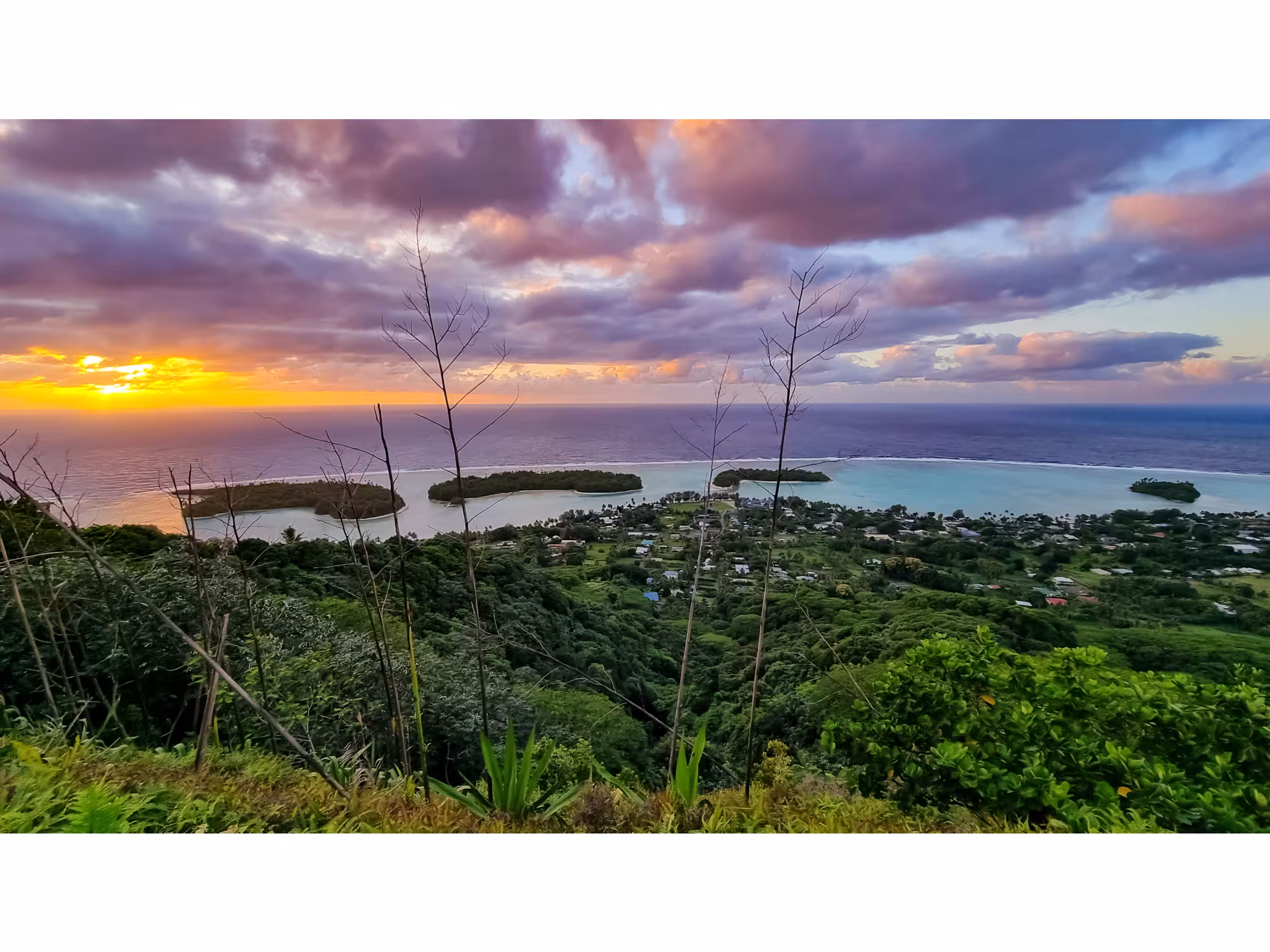 Arore Mountain Trail 5