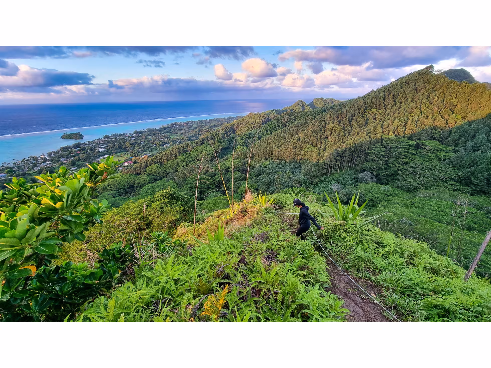 Arore Mountain Trail 6