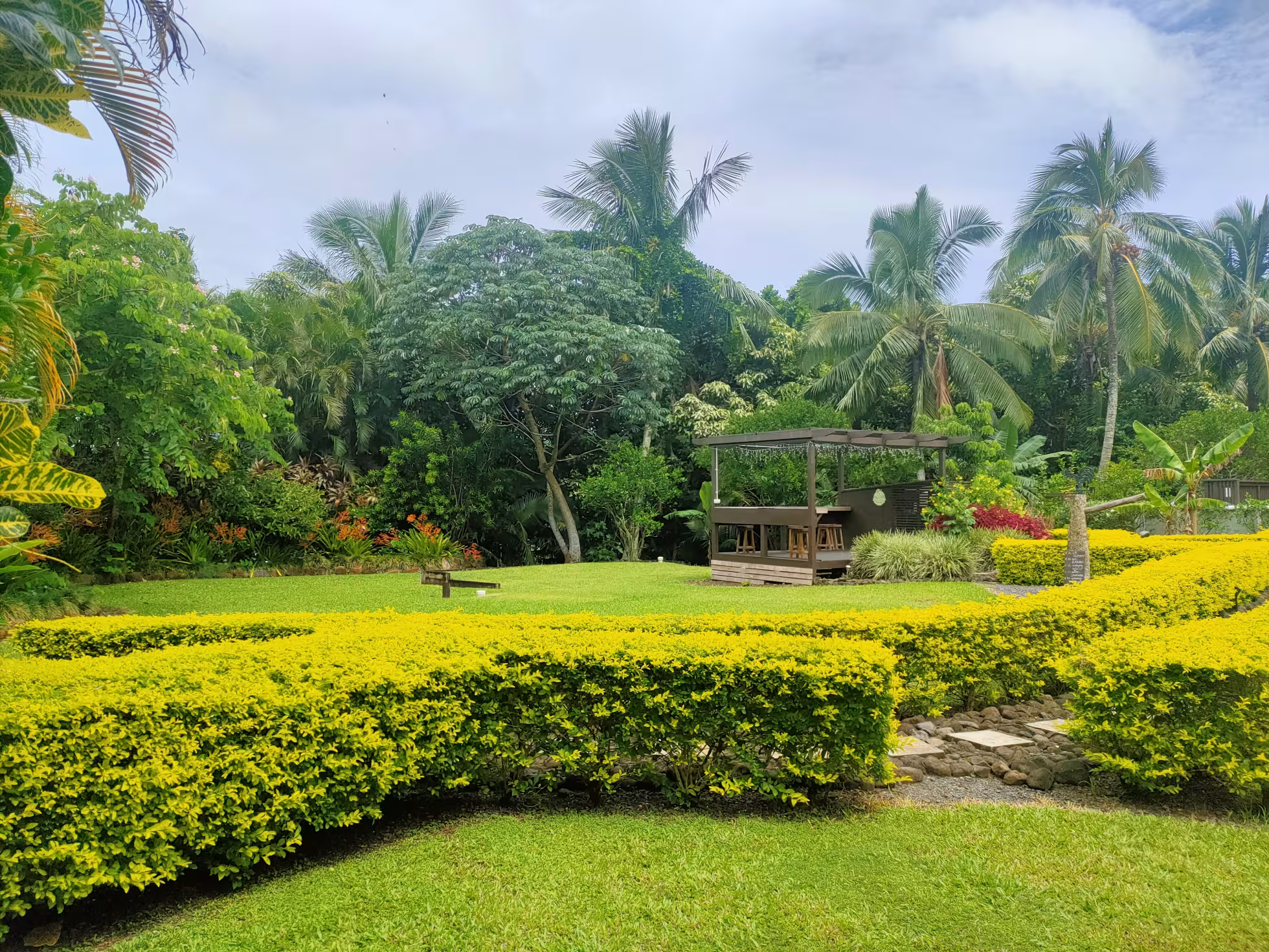Bar garden.jpg