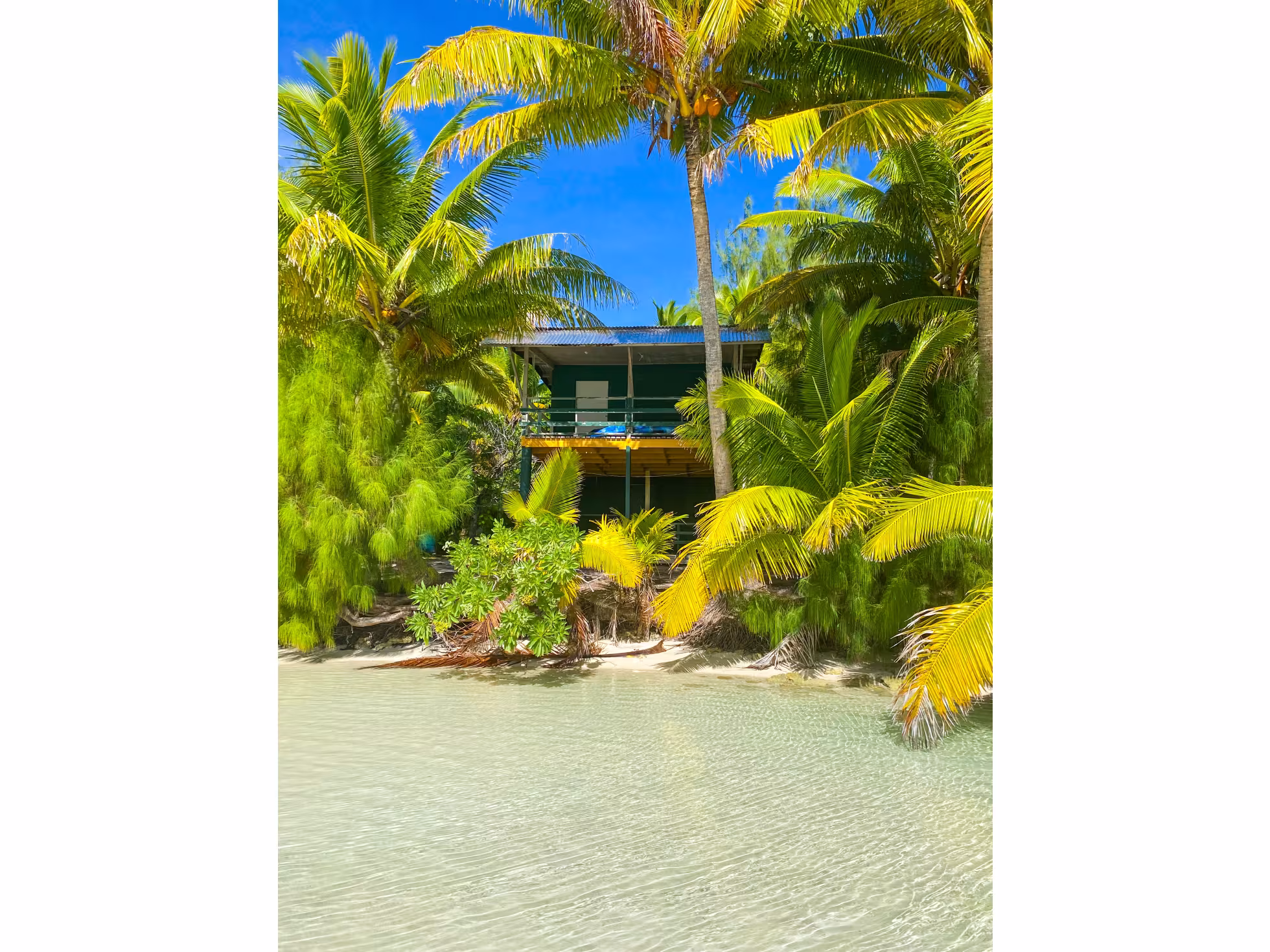 Mc Birney House 