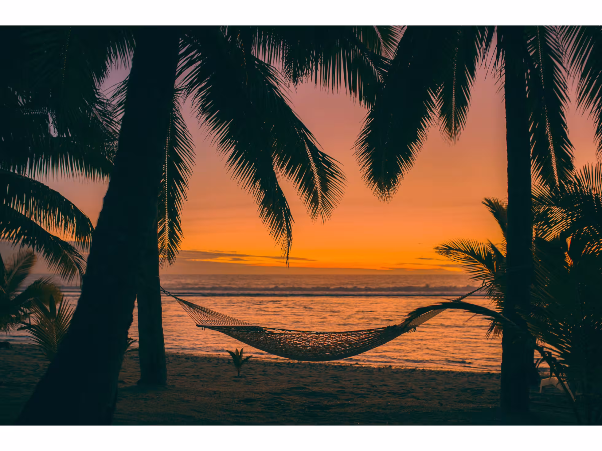 Sunset Resort