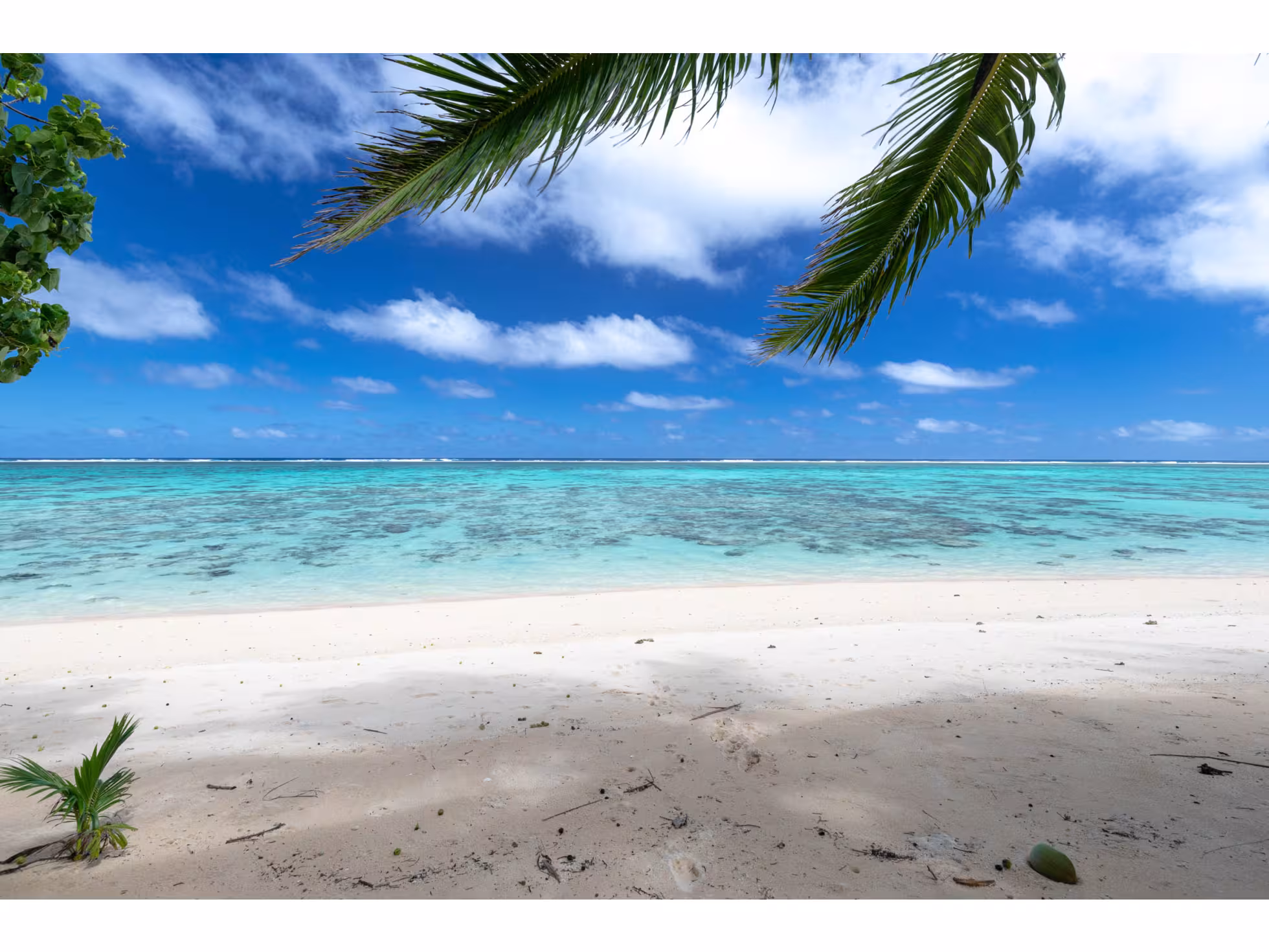 Rarotonga Tropical Holidays