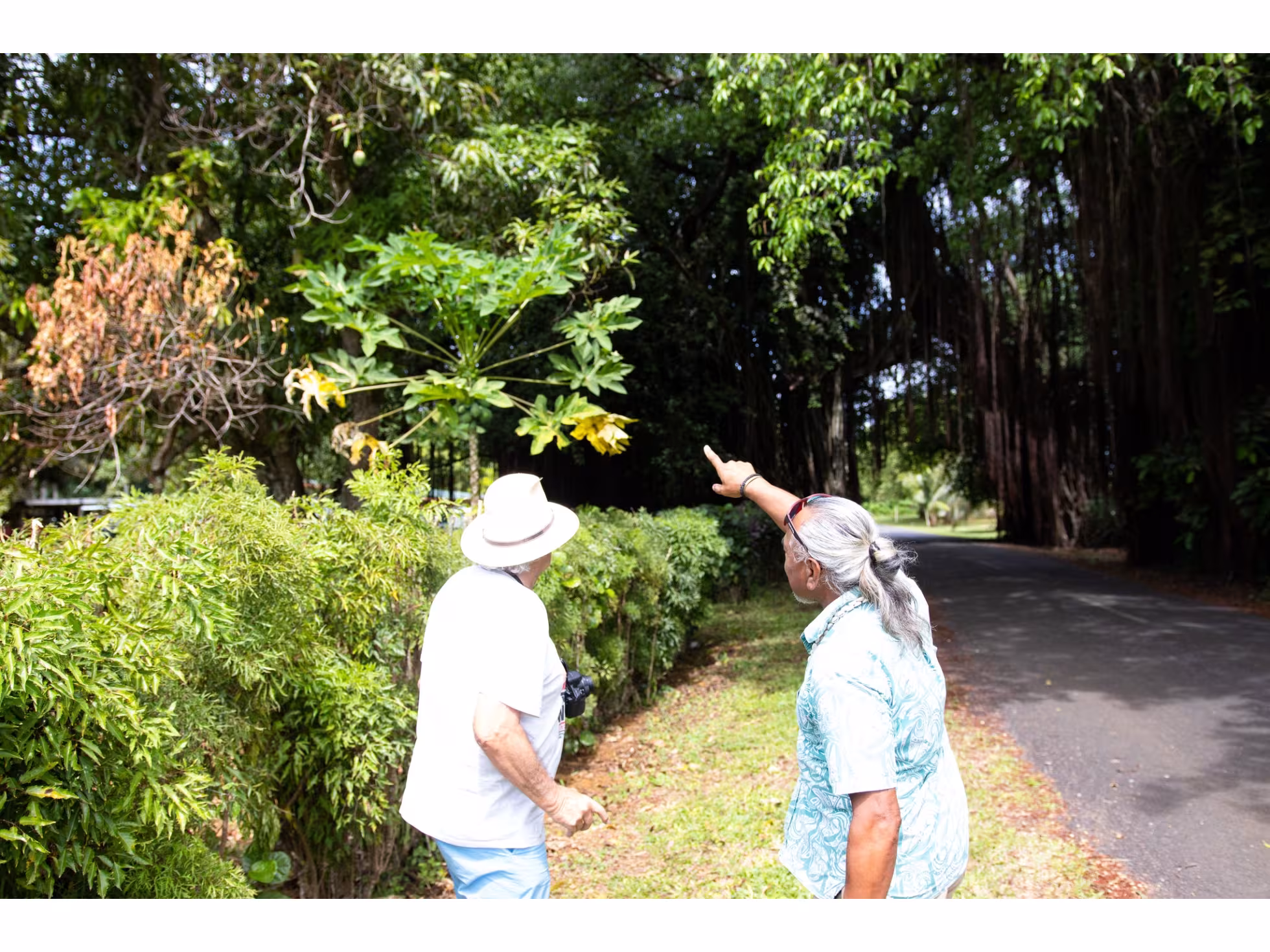 Tavai Inventure Land Tours