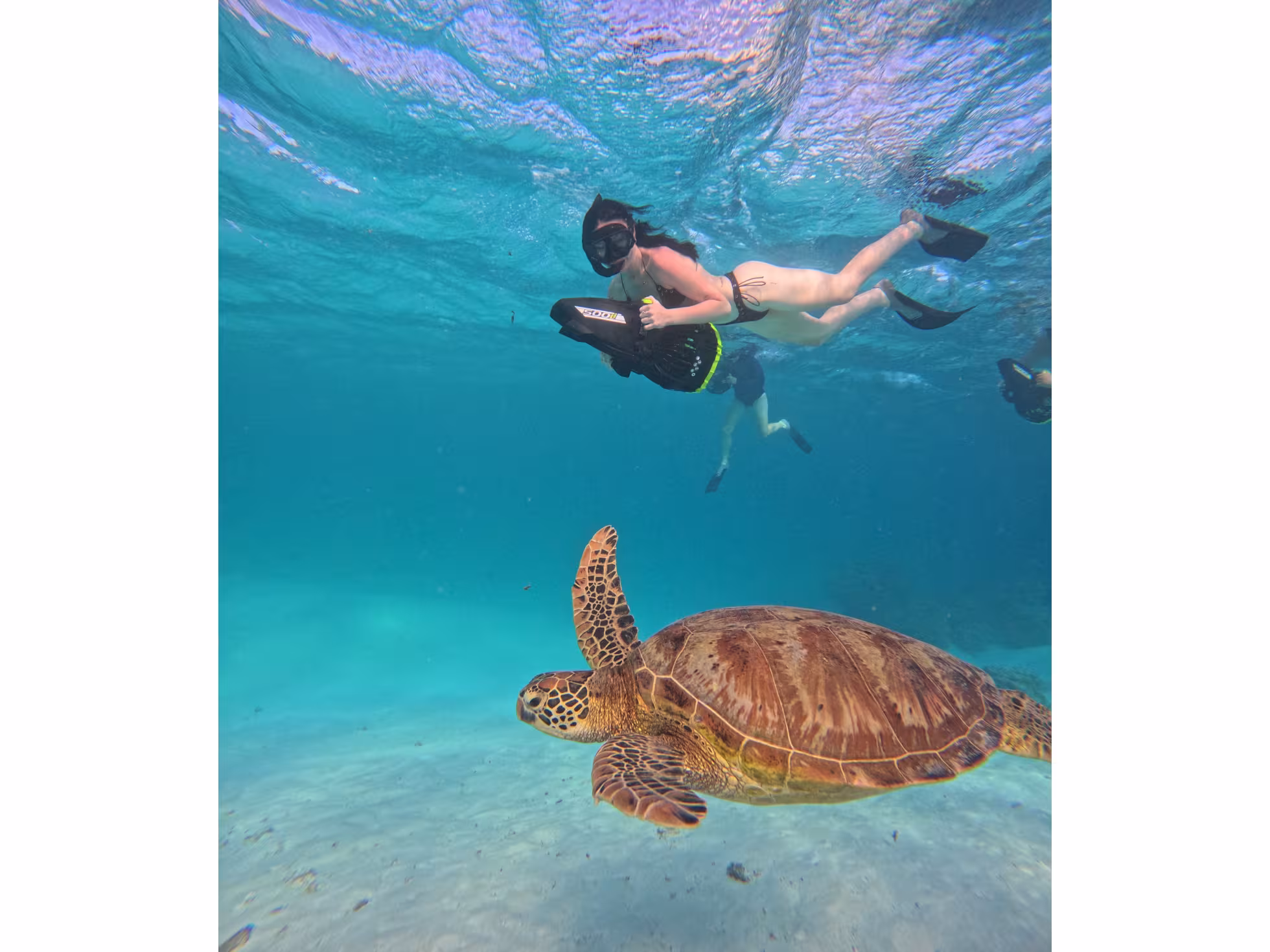Moana Sea-Scooters