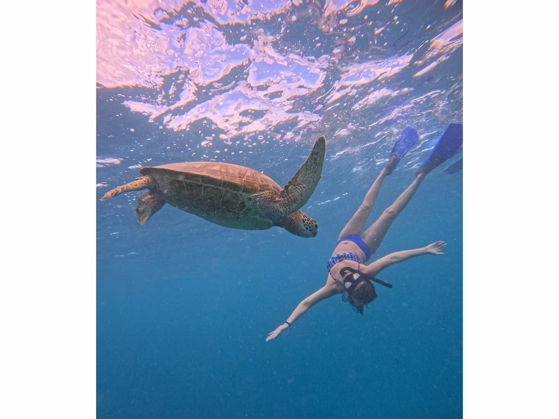 Moana Sea-Scooters