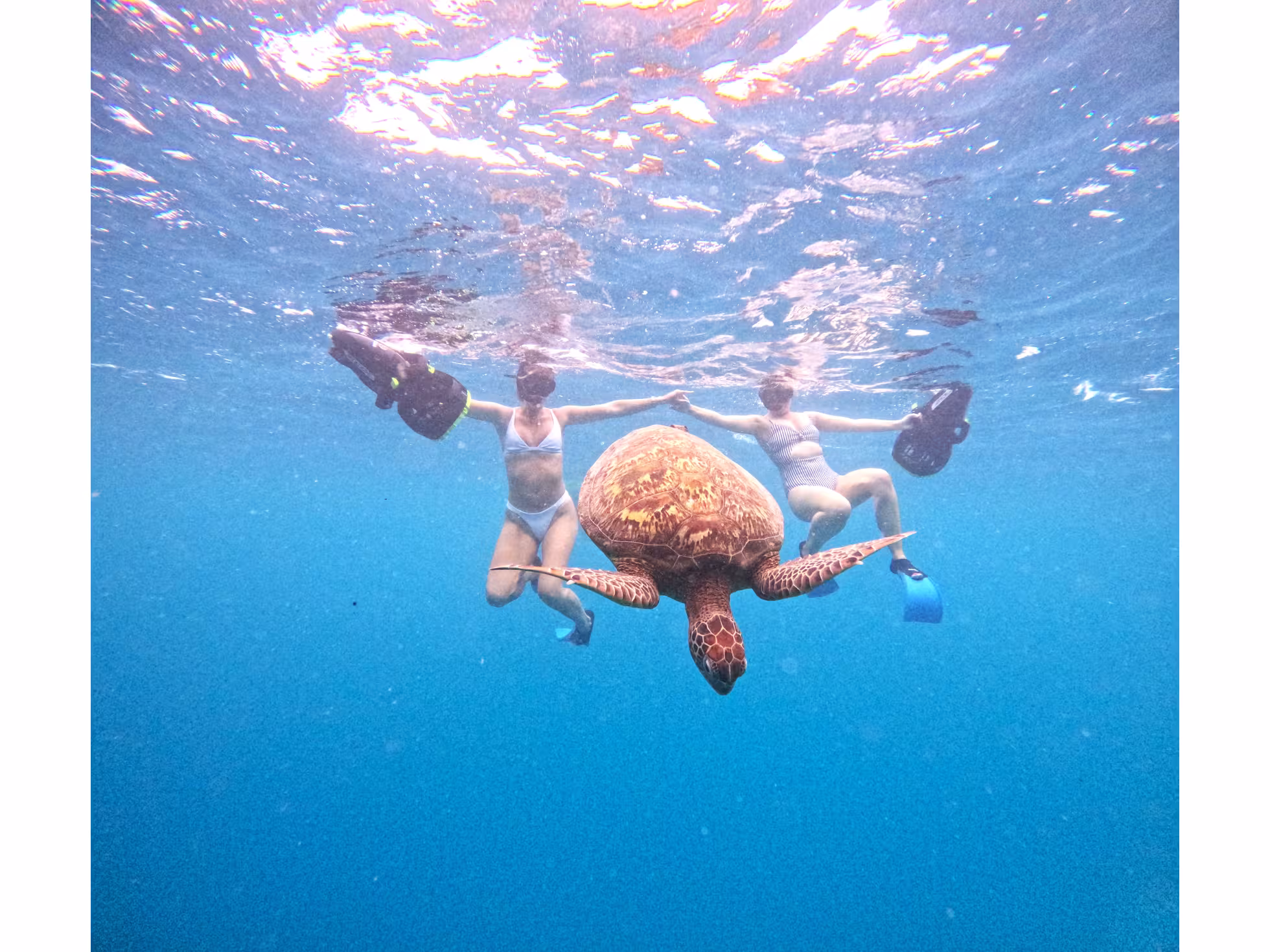 Moana Sea-Scooters