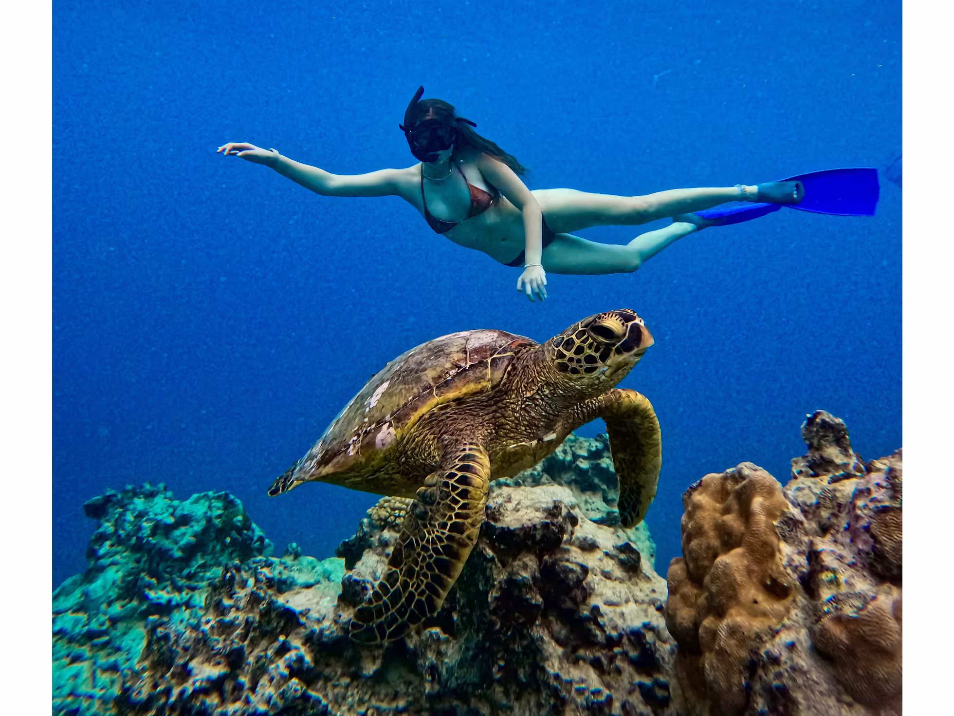 Go Local Turtle with Woman