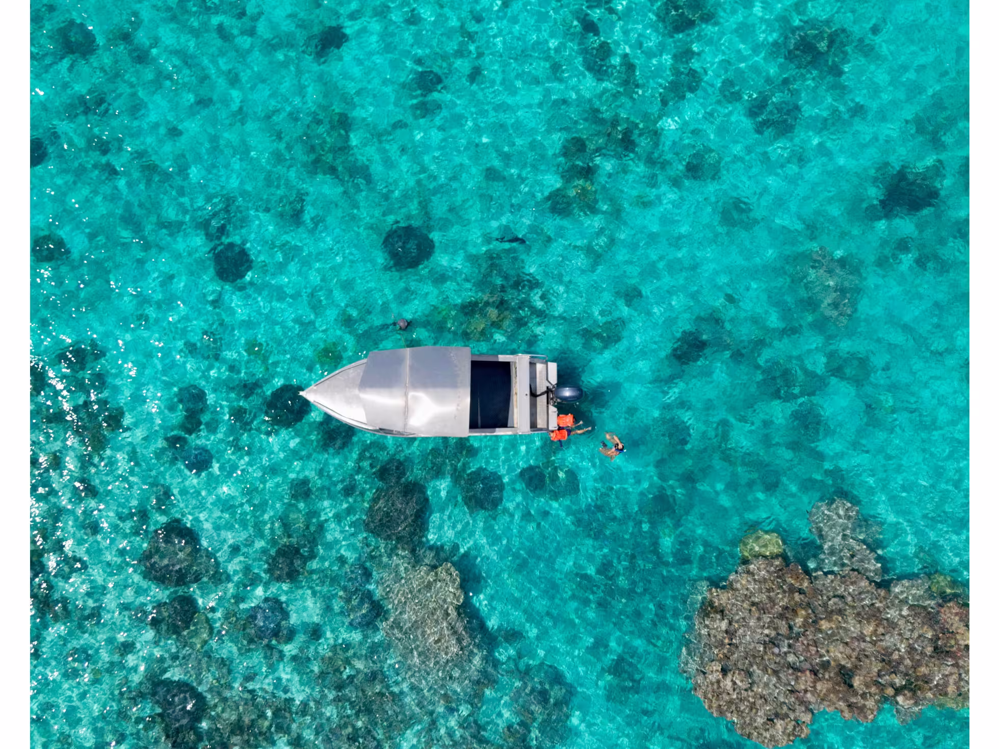 Coral T Tours