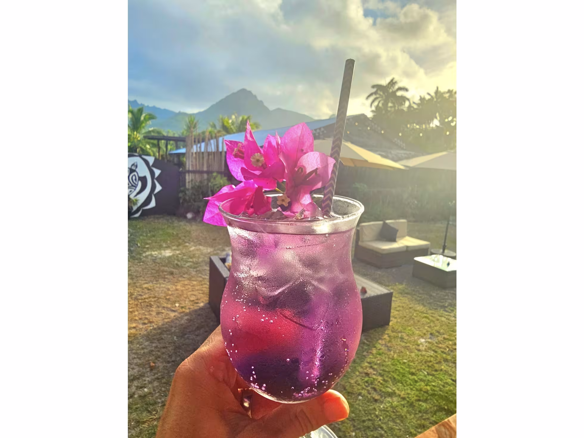 Pink fizzy cocktail