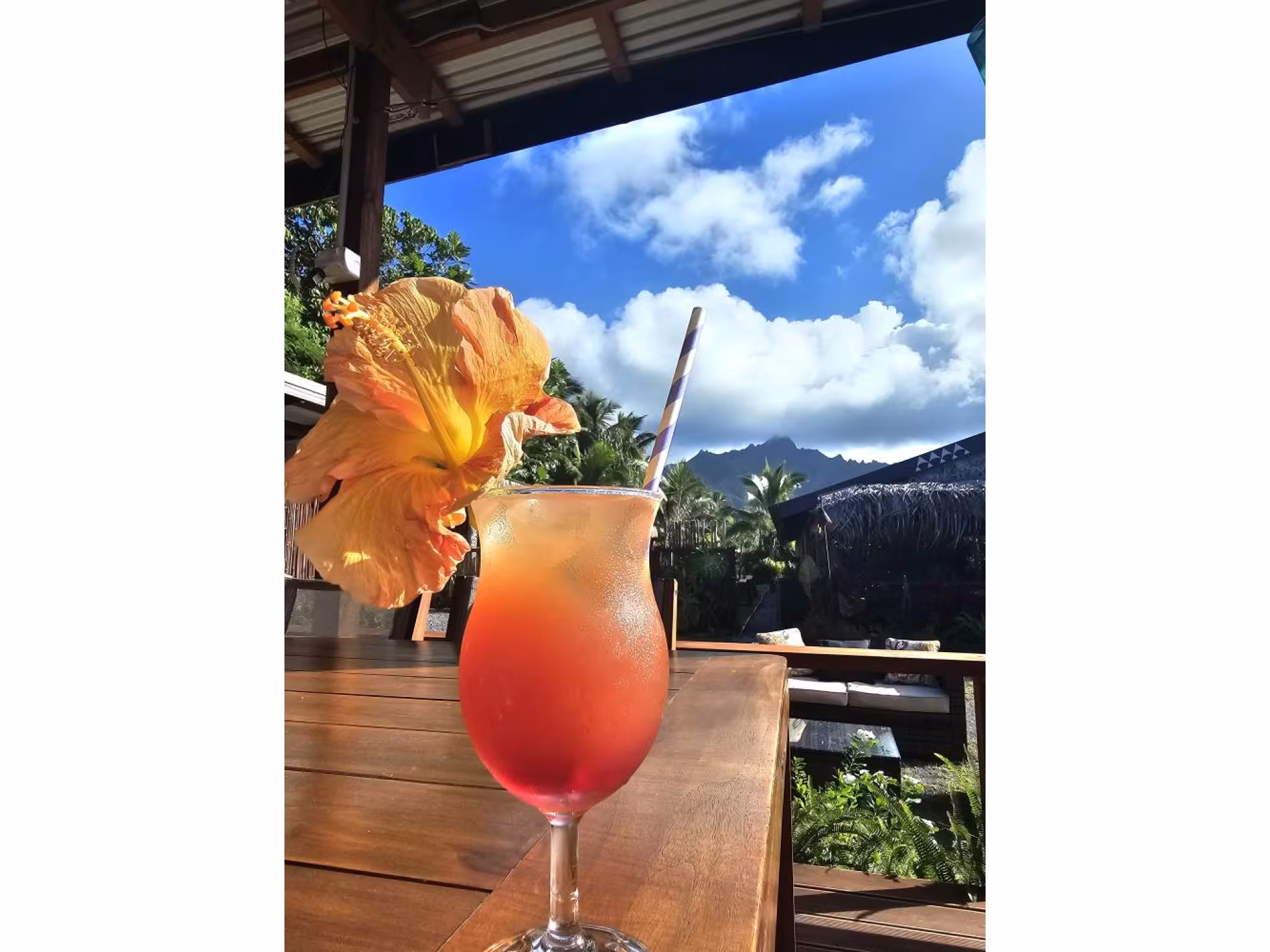 Orange cocktail