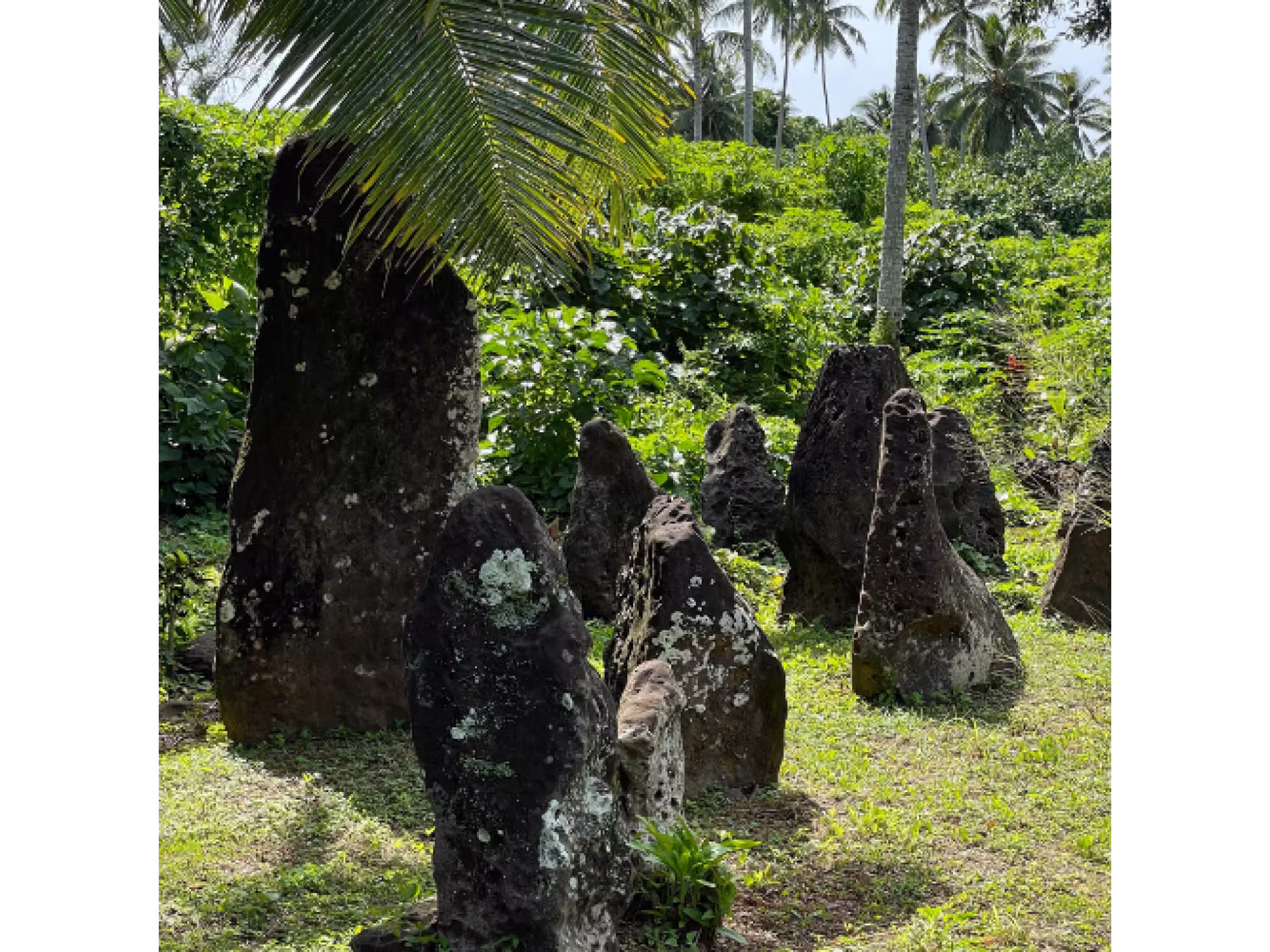 Aitutaki Cultural Tour
