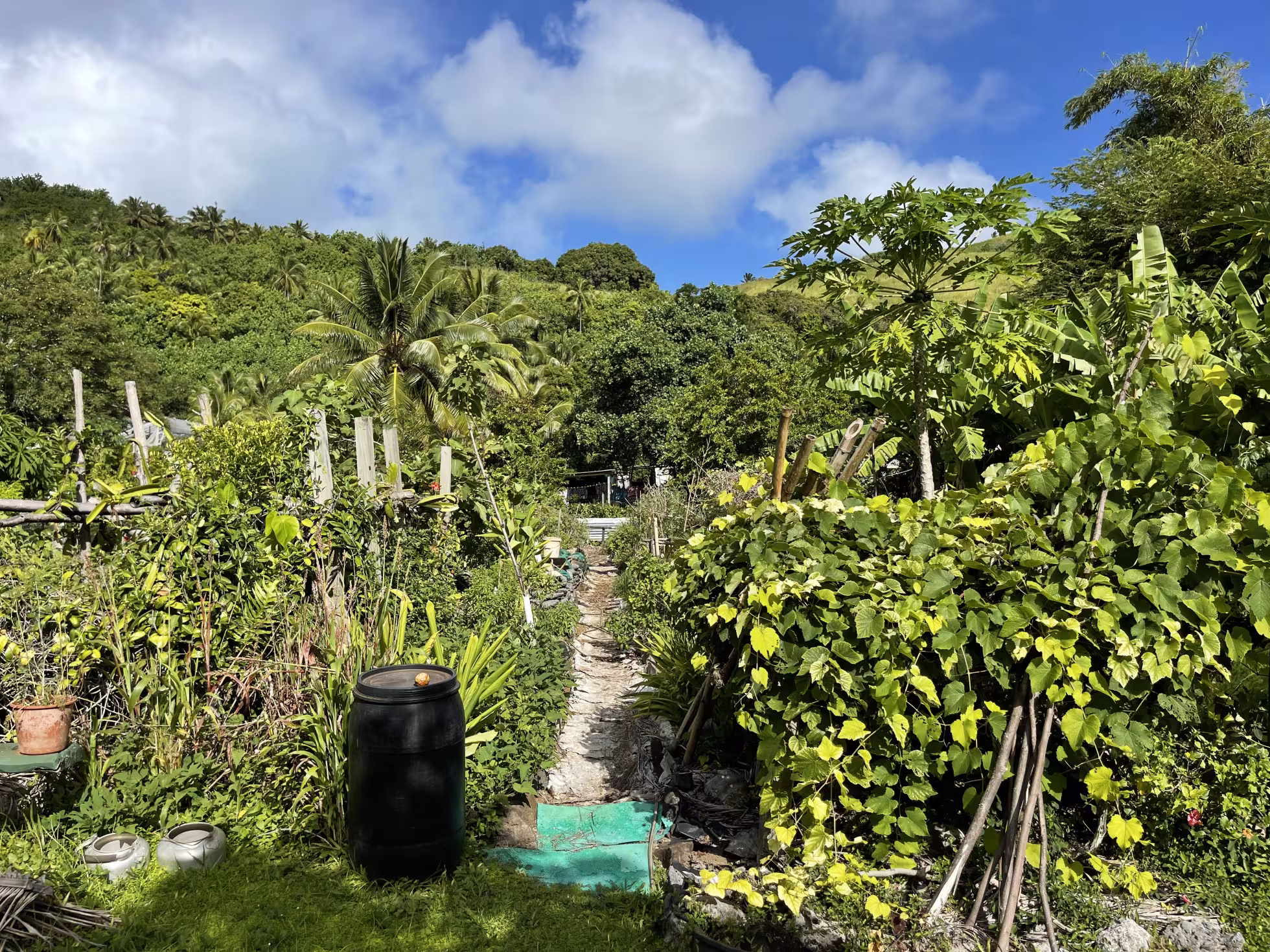 Tauono's Garden Cafe