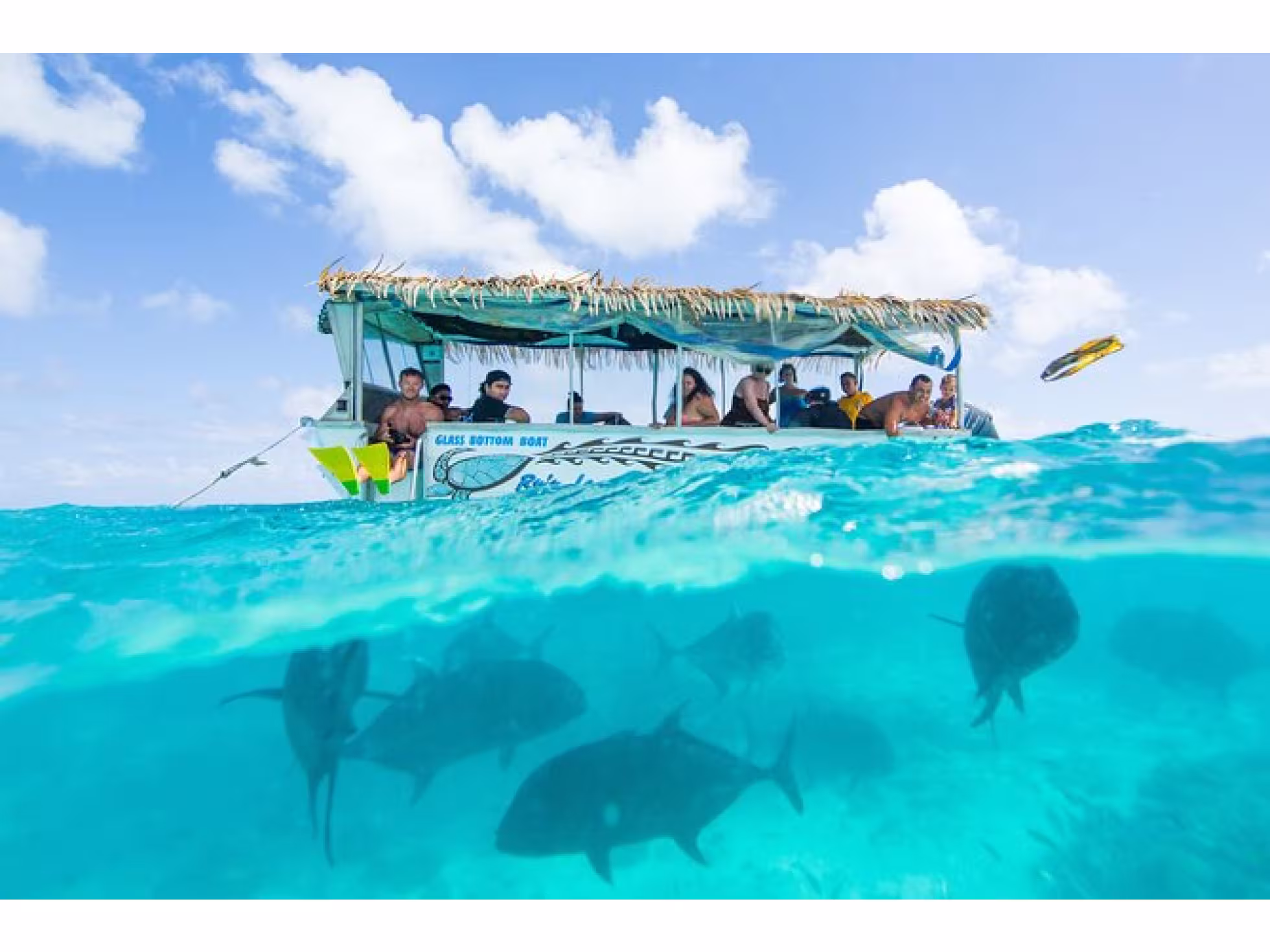 Glass bottom boat - Ru's Lagoon Cruise
