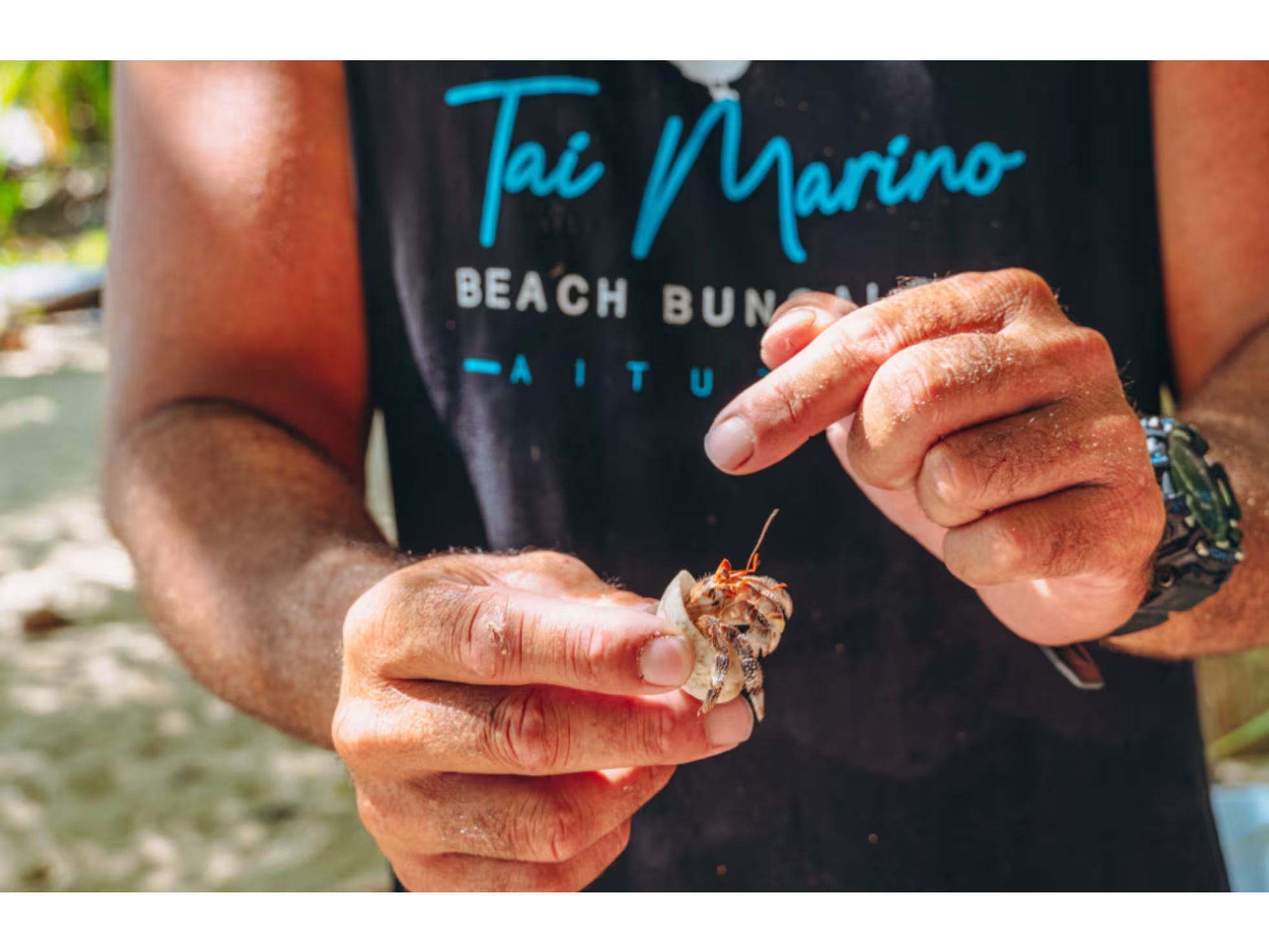 Marino Tours