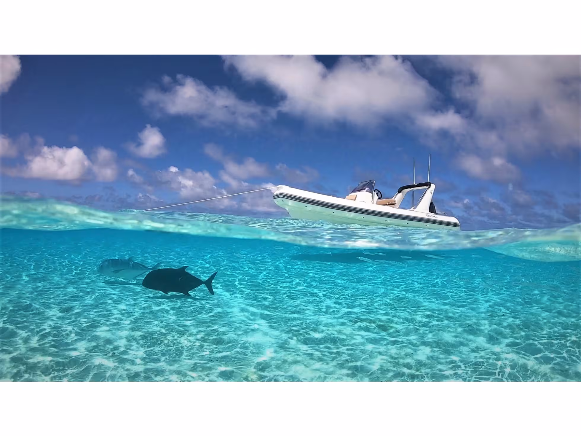 Platinum Cruising Aitutaki