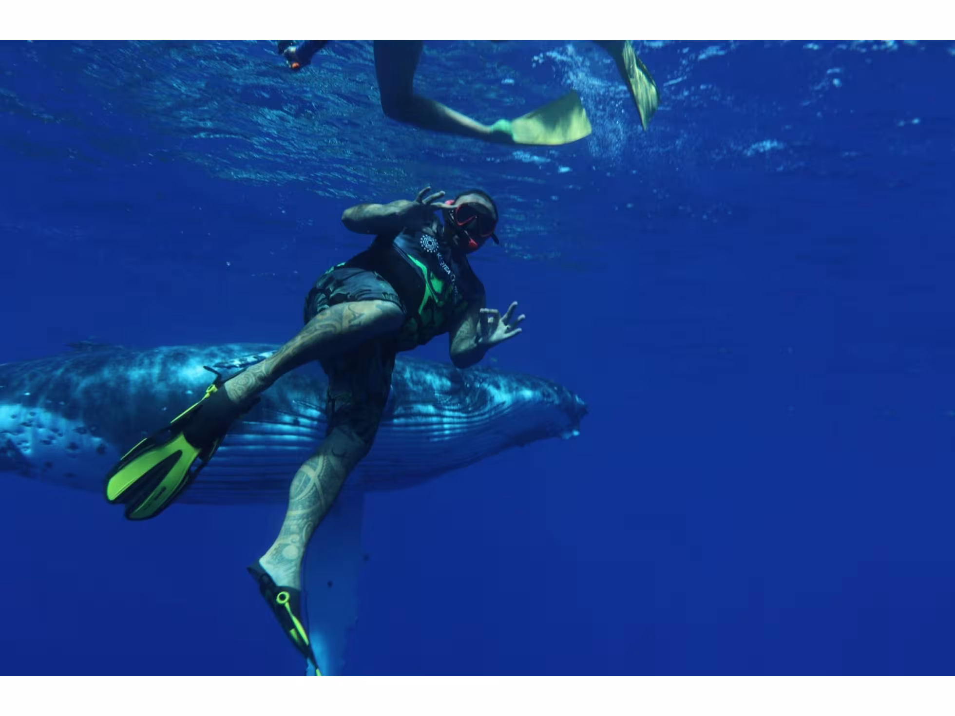 Kaotea Fishing & Lagoon Charters