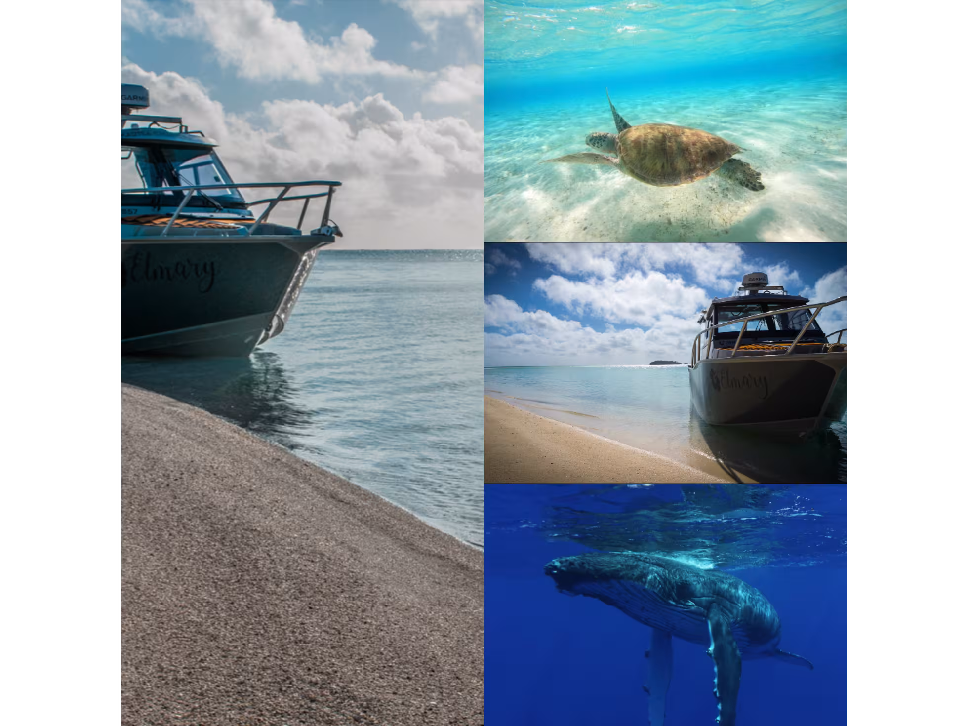 The Aitutaki Collective